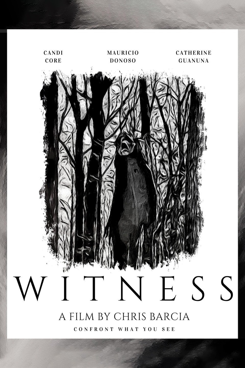 Shadow Witness - Rotten Tomatoes