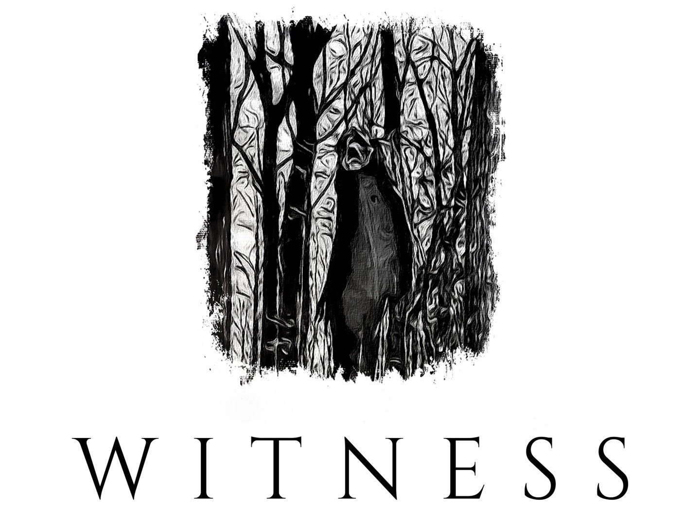 Shadow Witness - Rotten Tomatoes