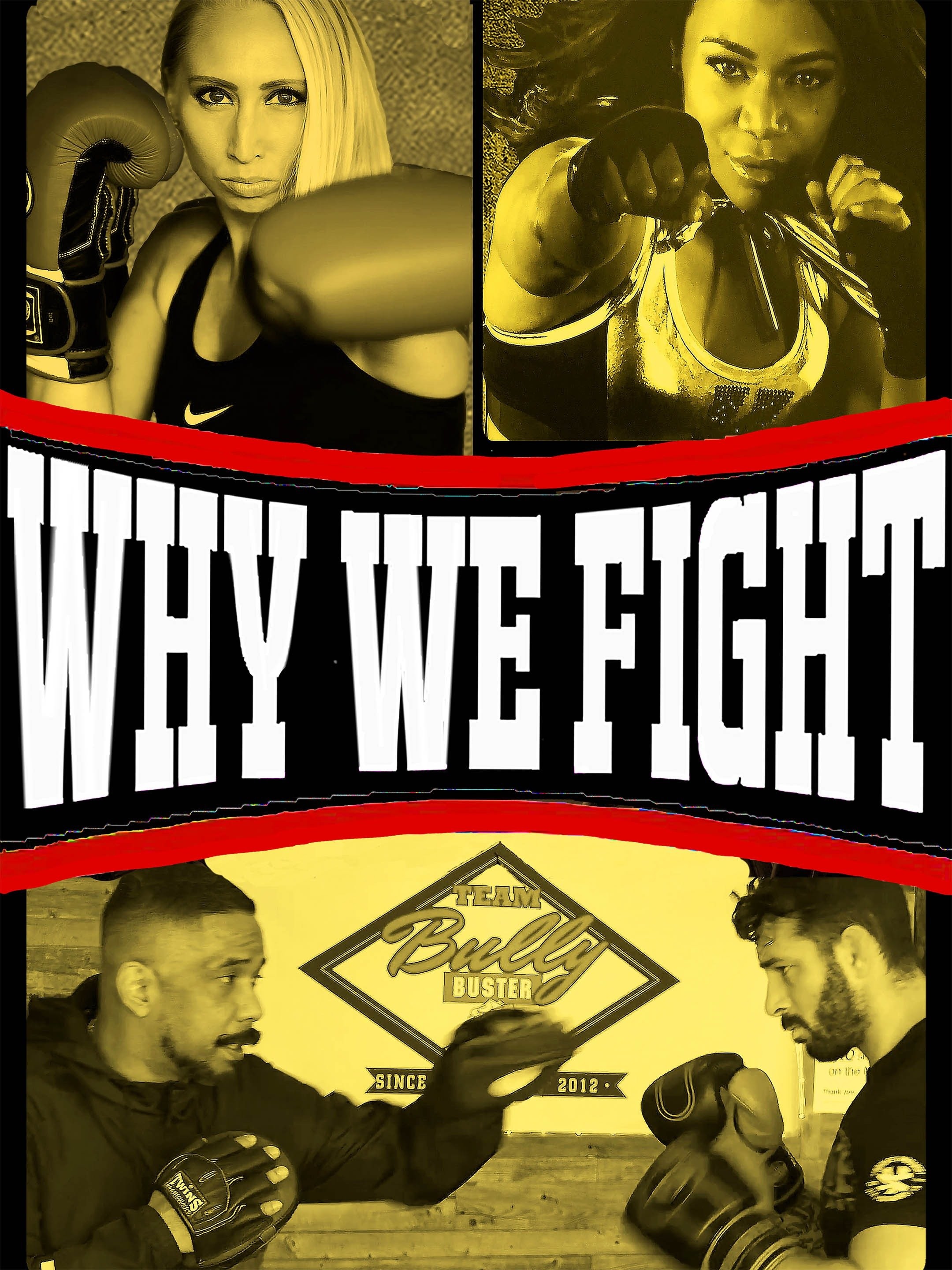 Why We Fight poster