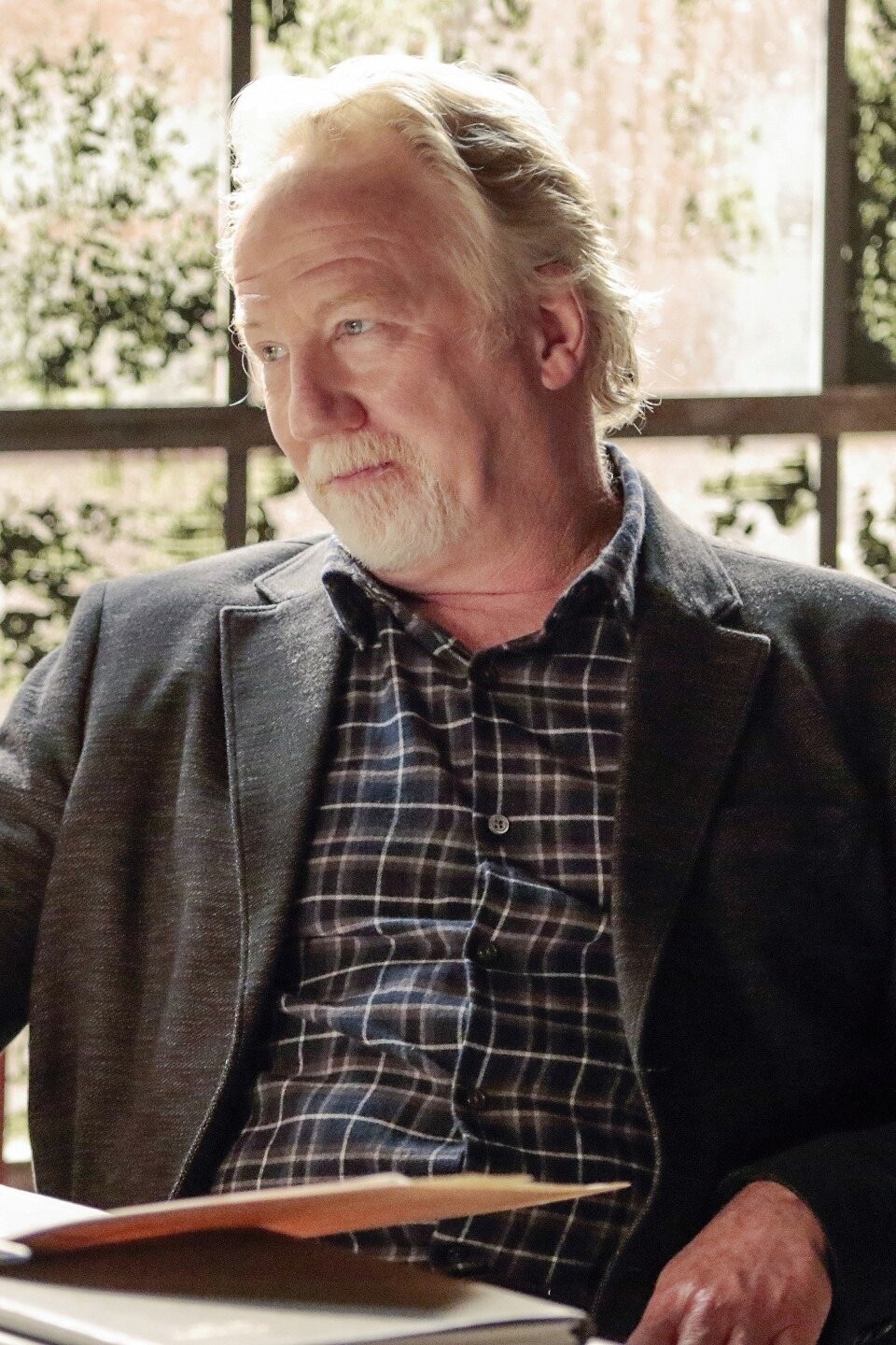 Collars for Dollars Pictures Rotten Tomatoes