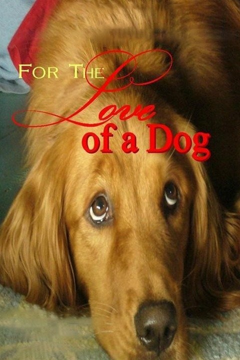 Heads Up For Tails Fur The Love Of Dog Alison Hammond To Host