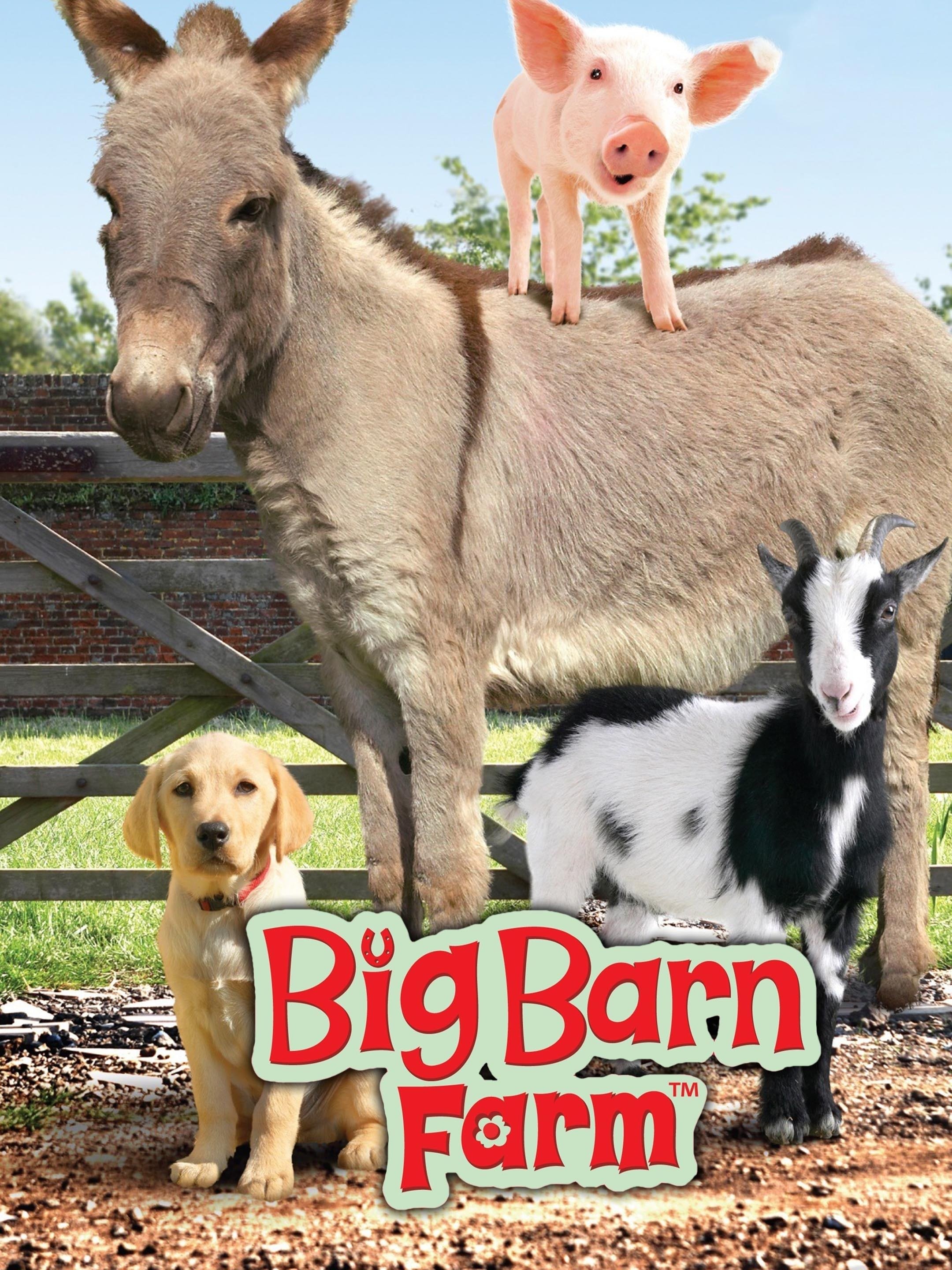 Big Barn Farm Season 2 Pictures Rotten Tomatoes