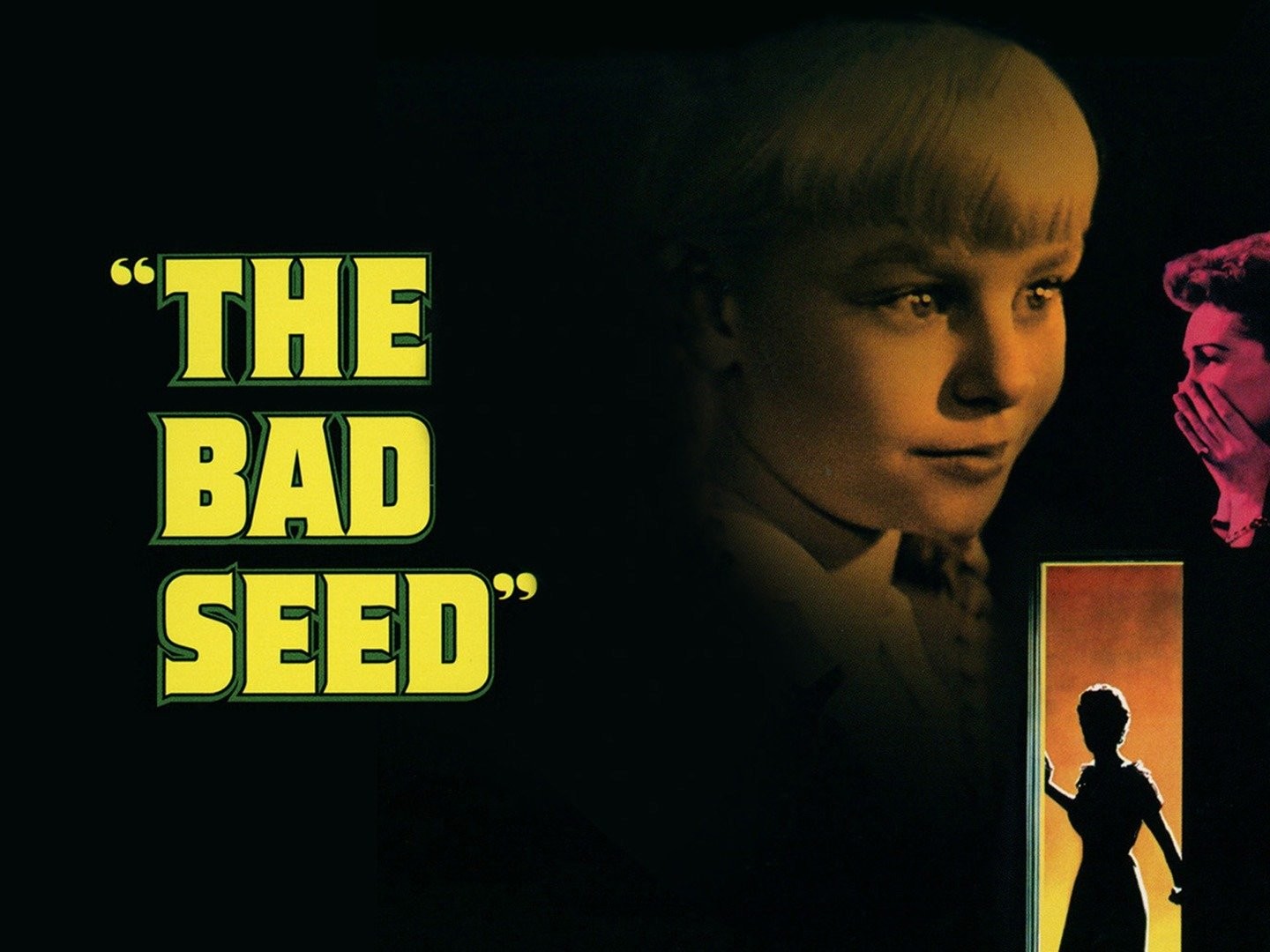 The Bad Seed filme - Veja onde assistir online