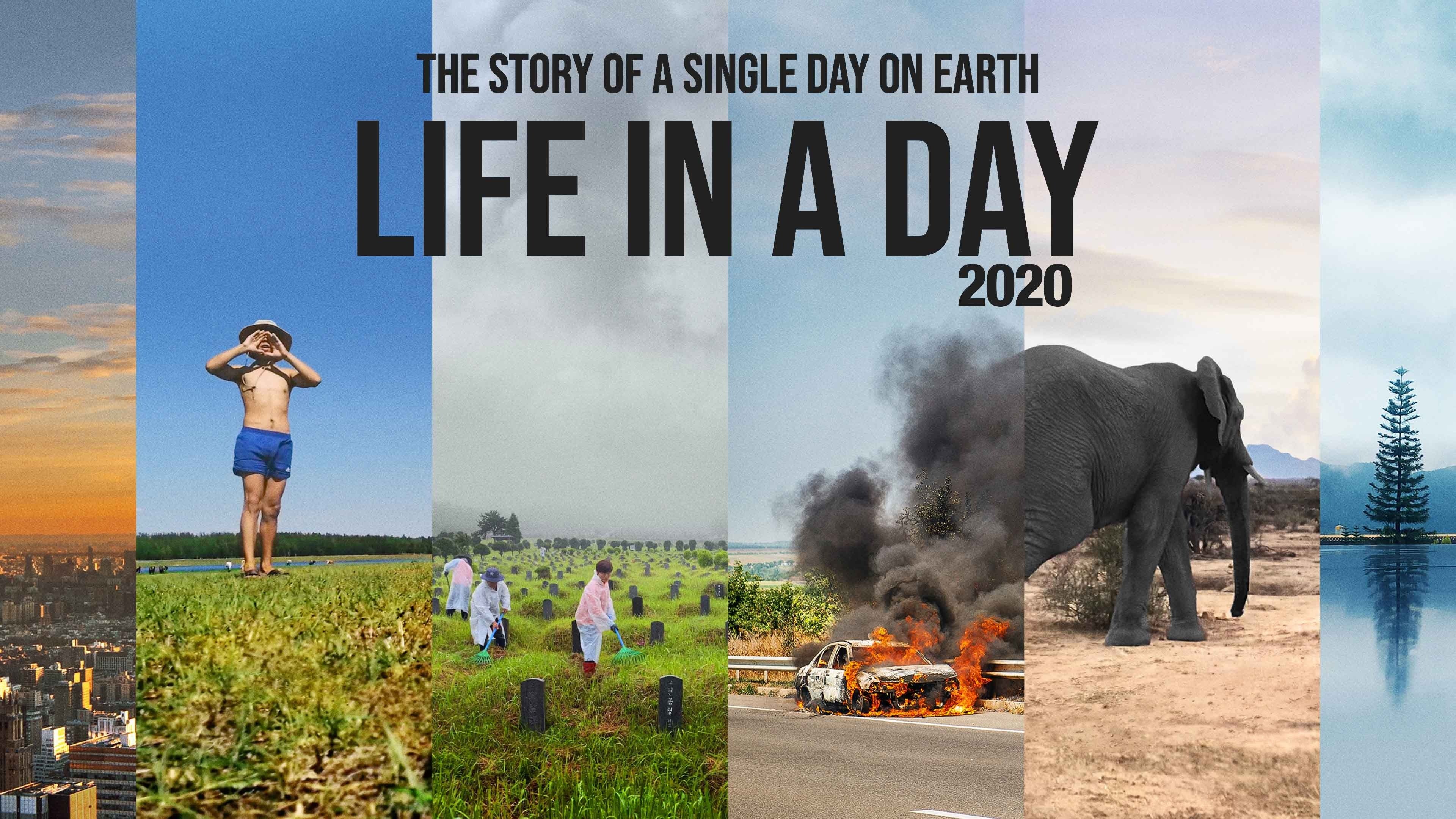 Life in a Day 2020  Director's Cut 