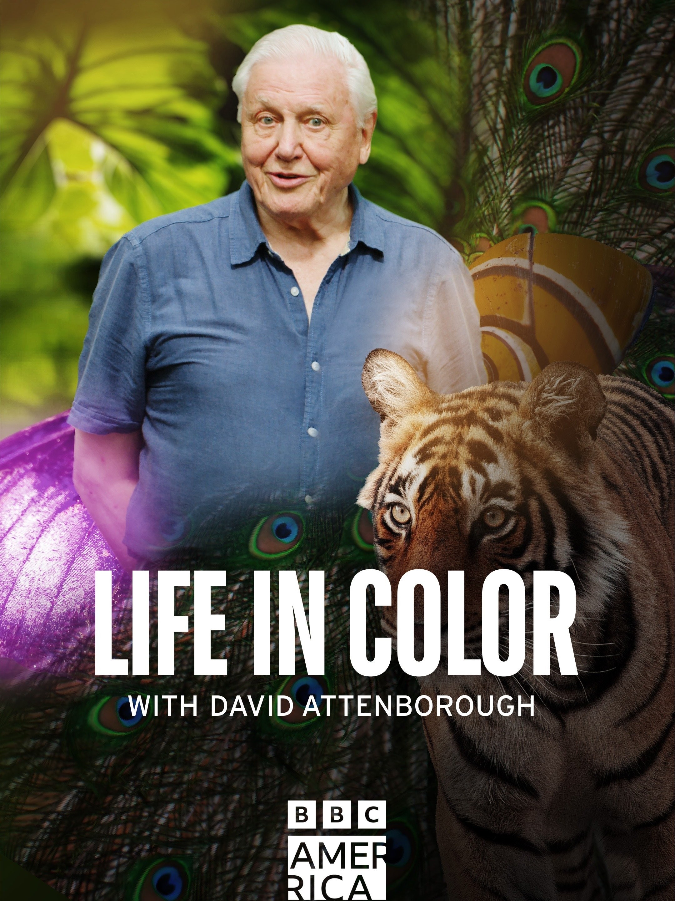 Attenborough's Life in Colour: Miniseries | Rotten Tomatoes, image size:2160x2880