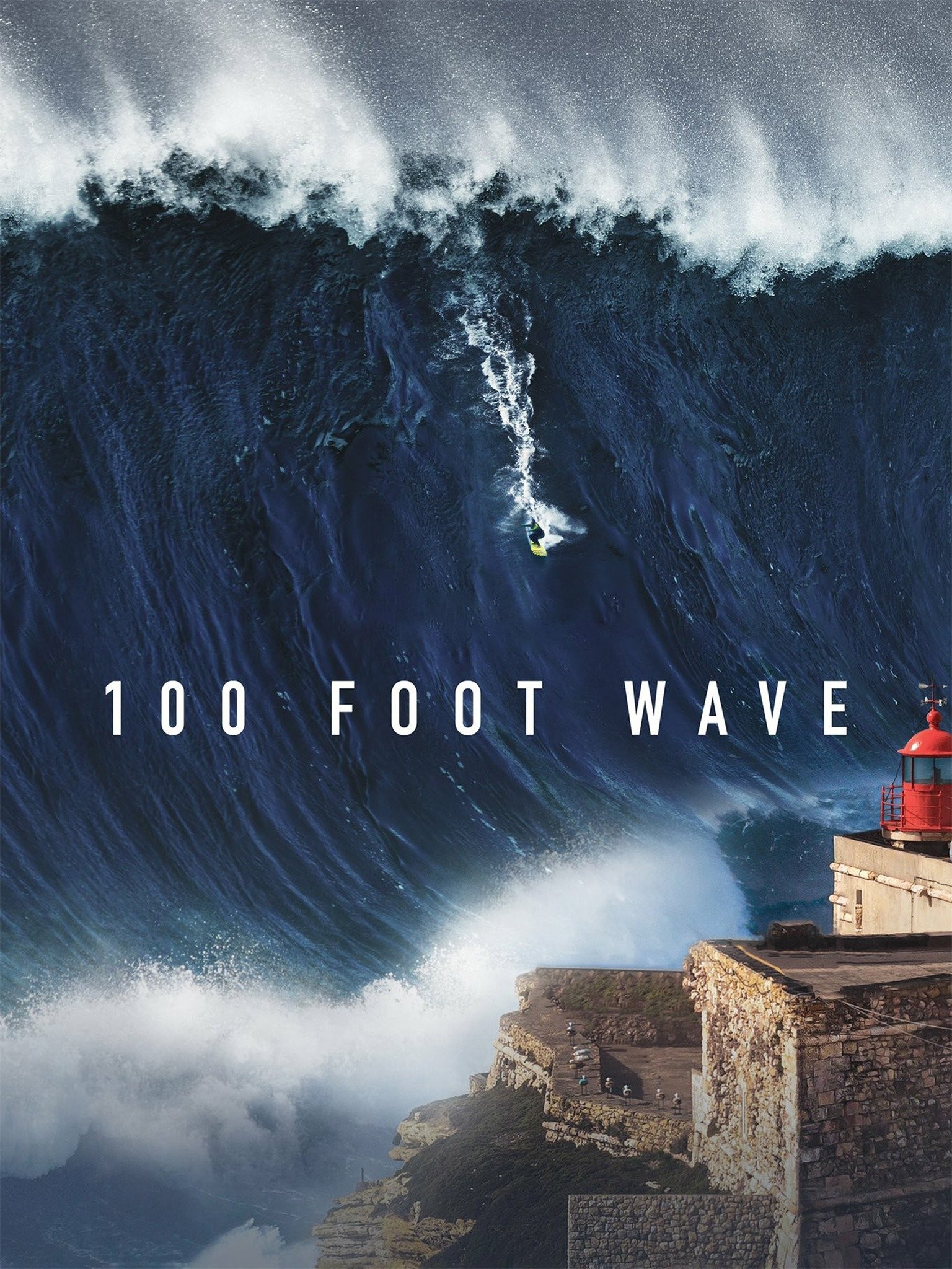 Swell: A Year of Waves (Ocean Coffee Table Book, Book About Surfing)
