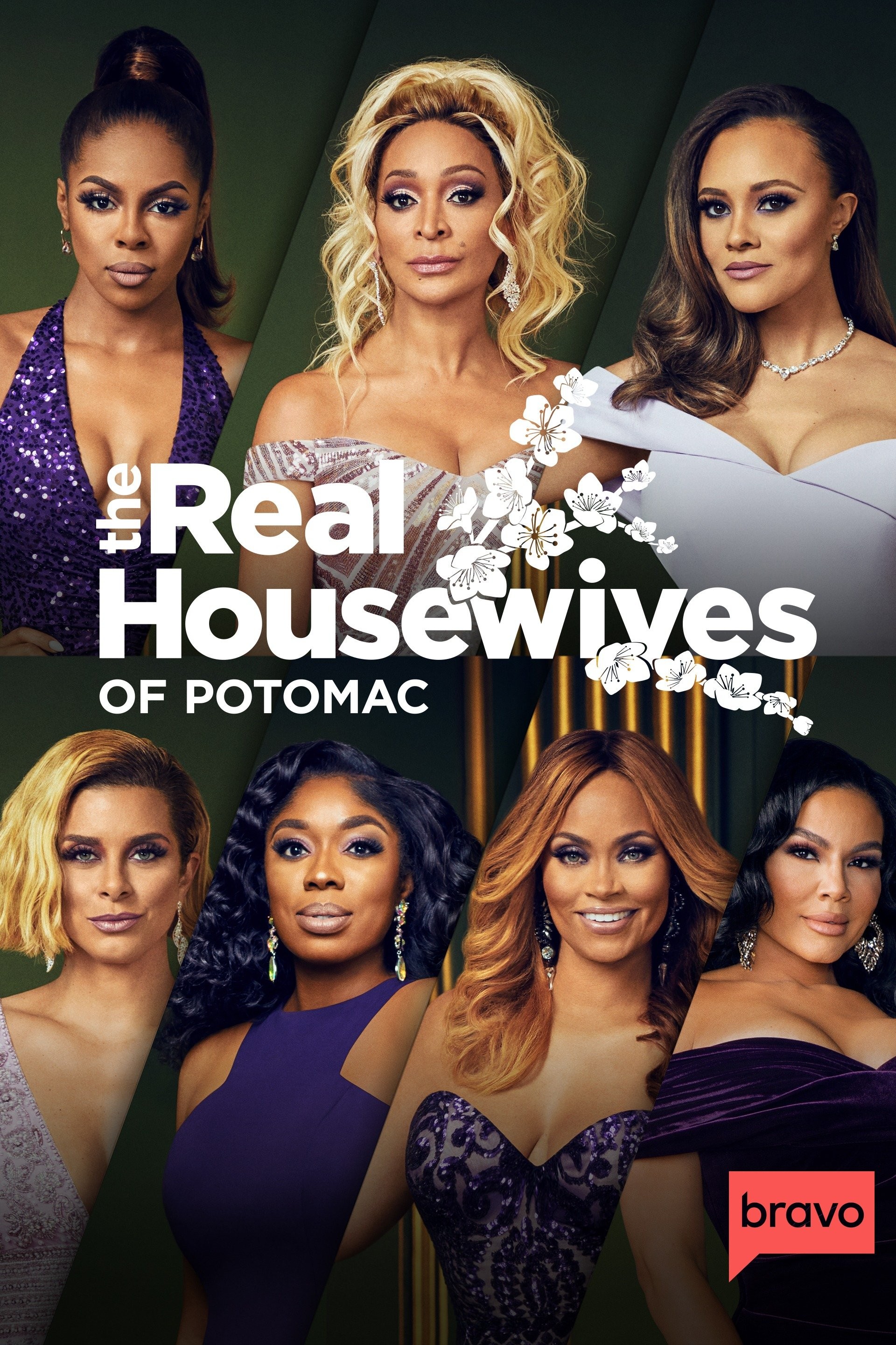 The Real Housewives of Potomac - Bravo Reality Series - Where To Watch