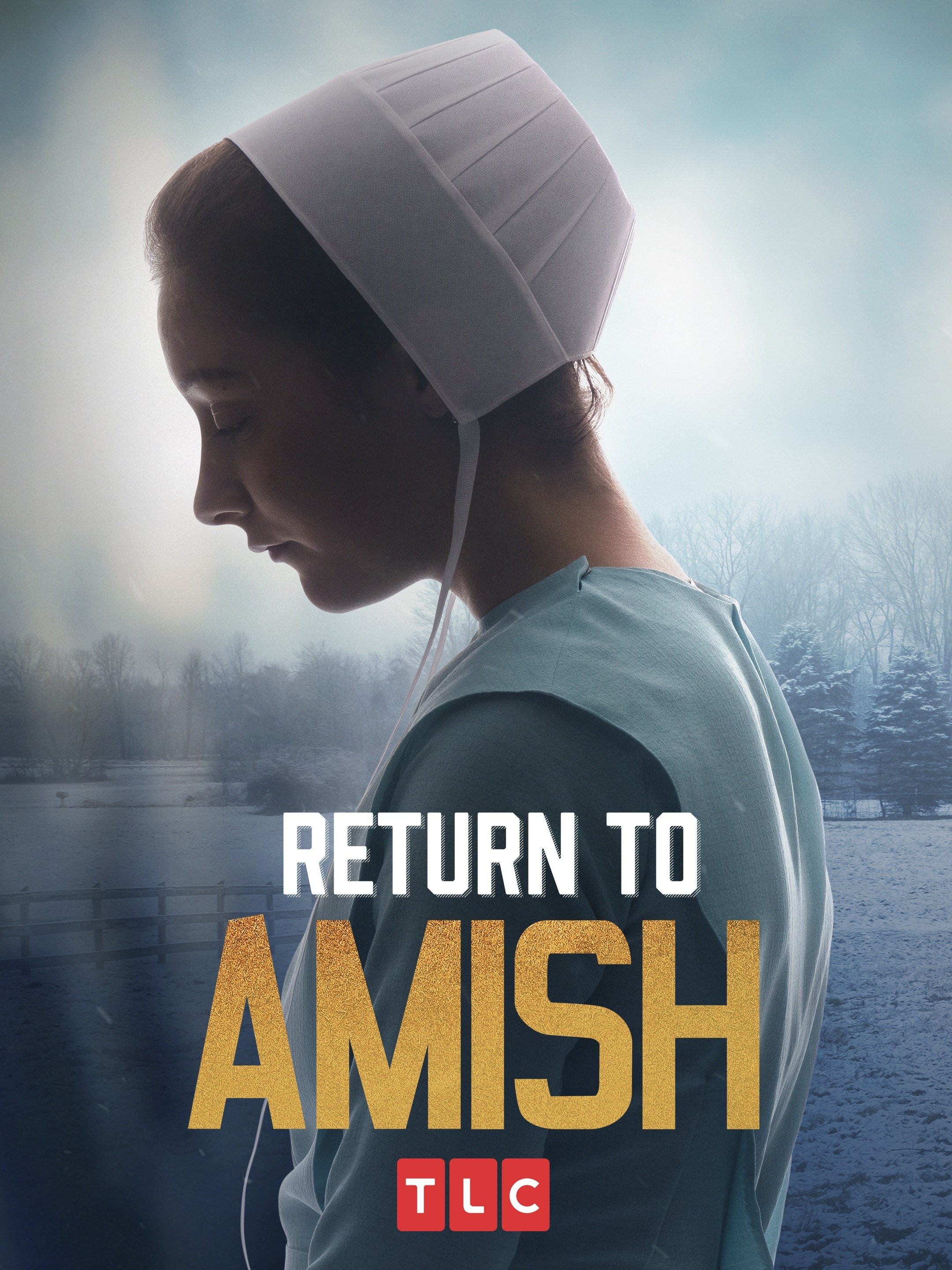 Return to Amish: Season 6 | Rotten Tomatoes