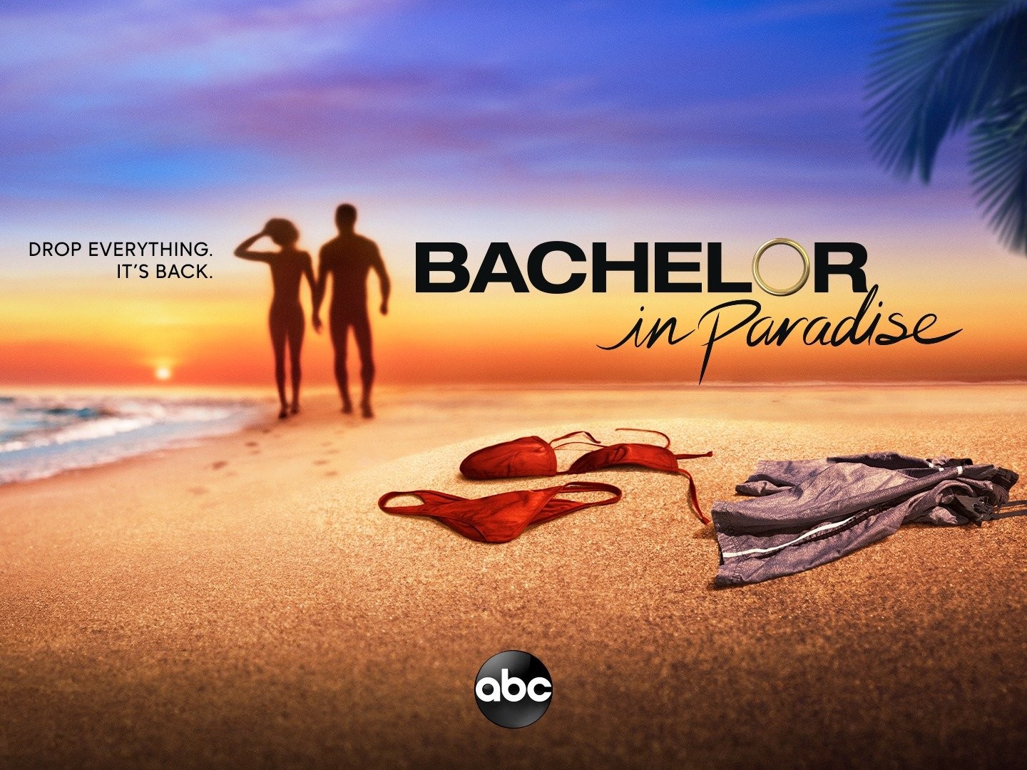 Bachelor In Paradise