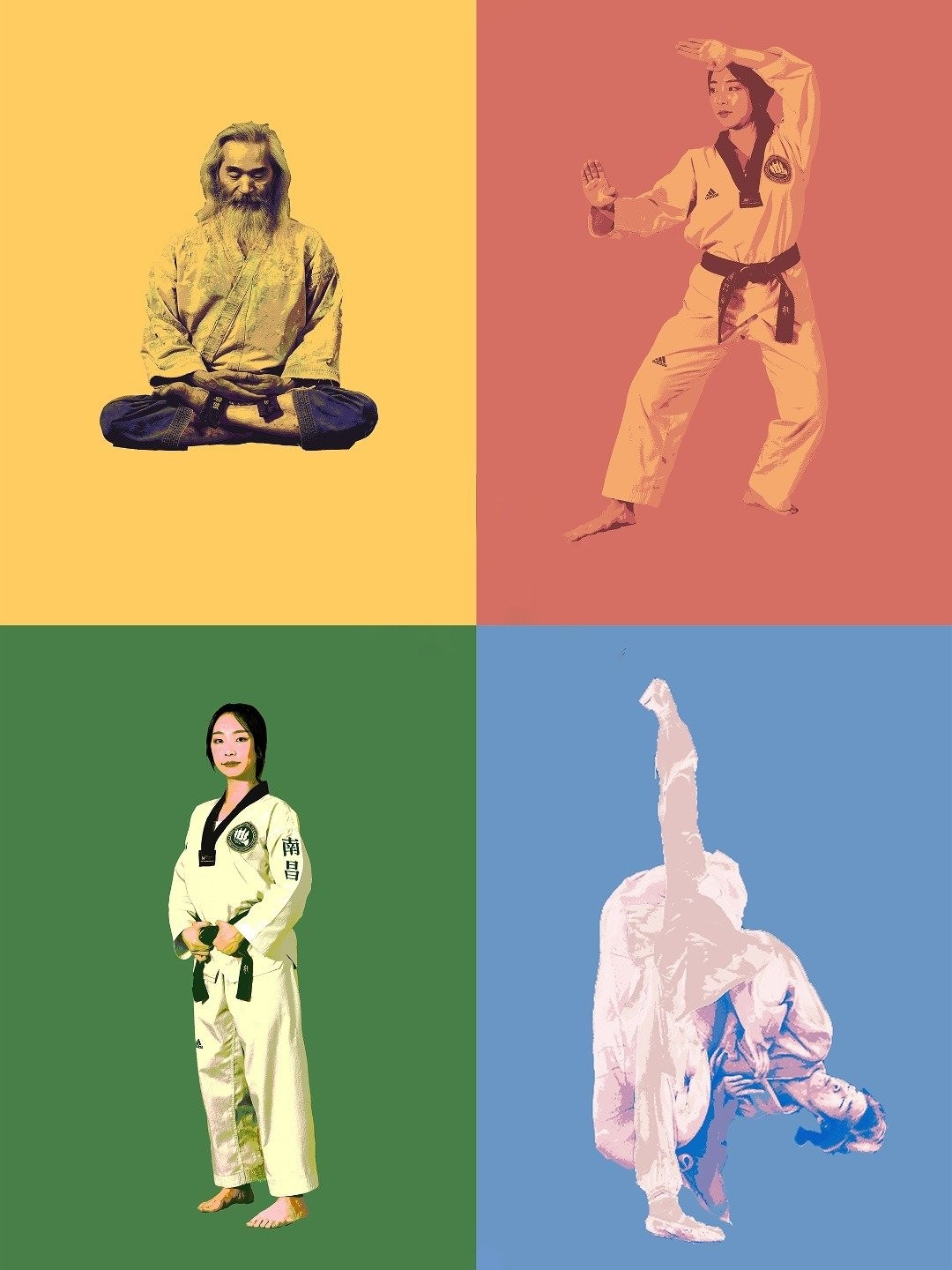 Taekwondo - Rotten Tomatoes