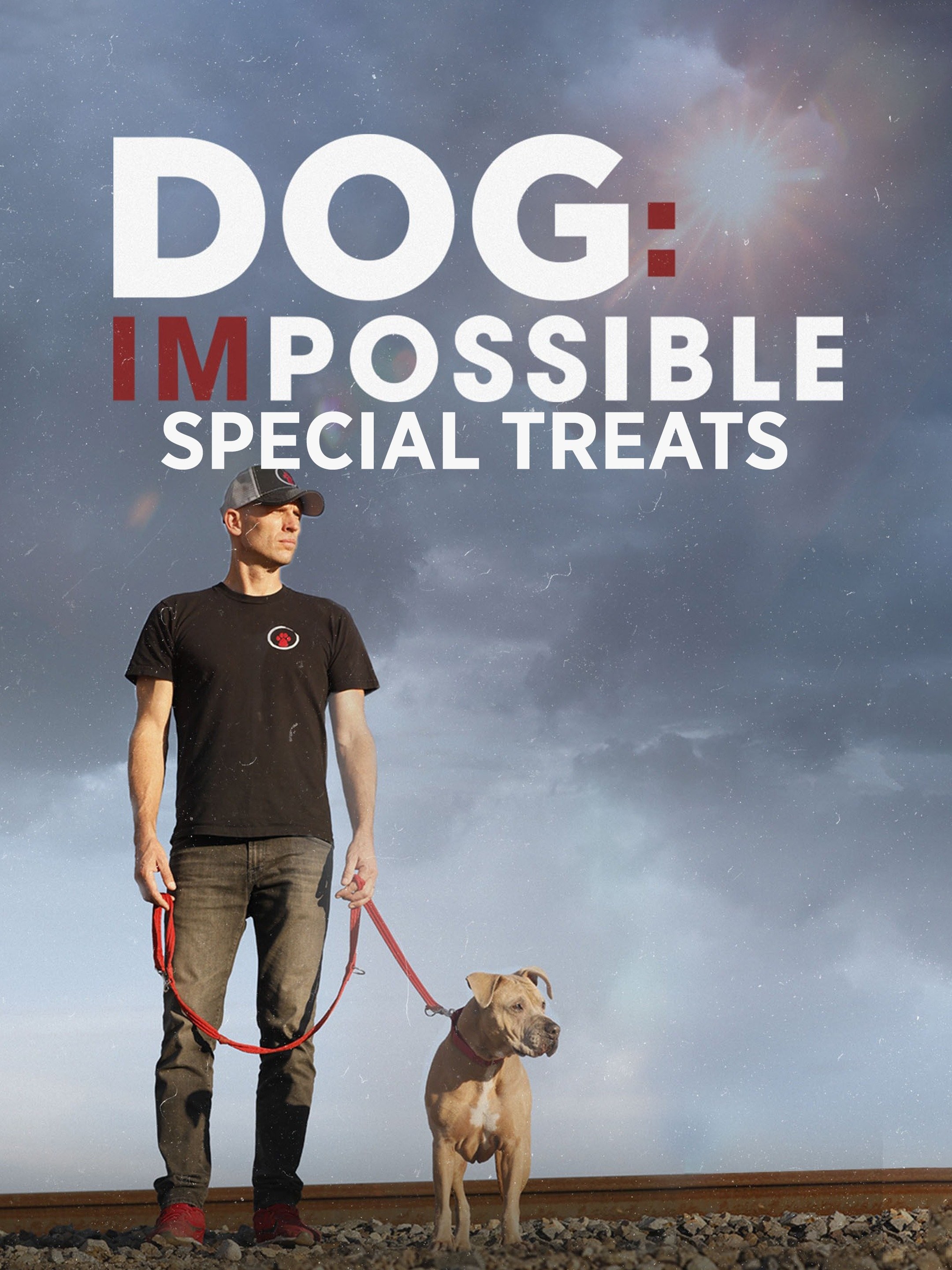 Dog Impossible Special Treats Rotten Tomatoes