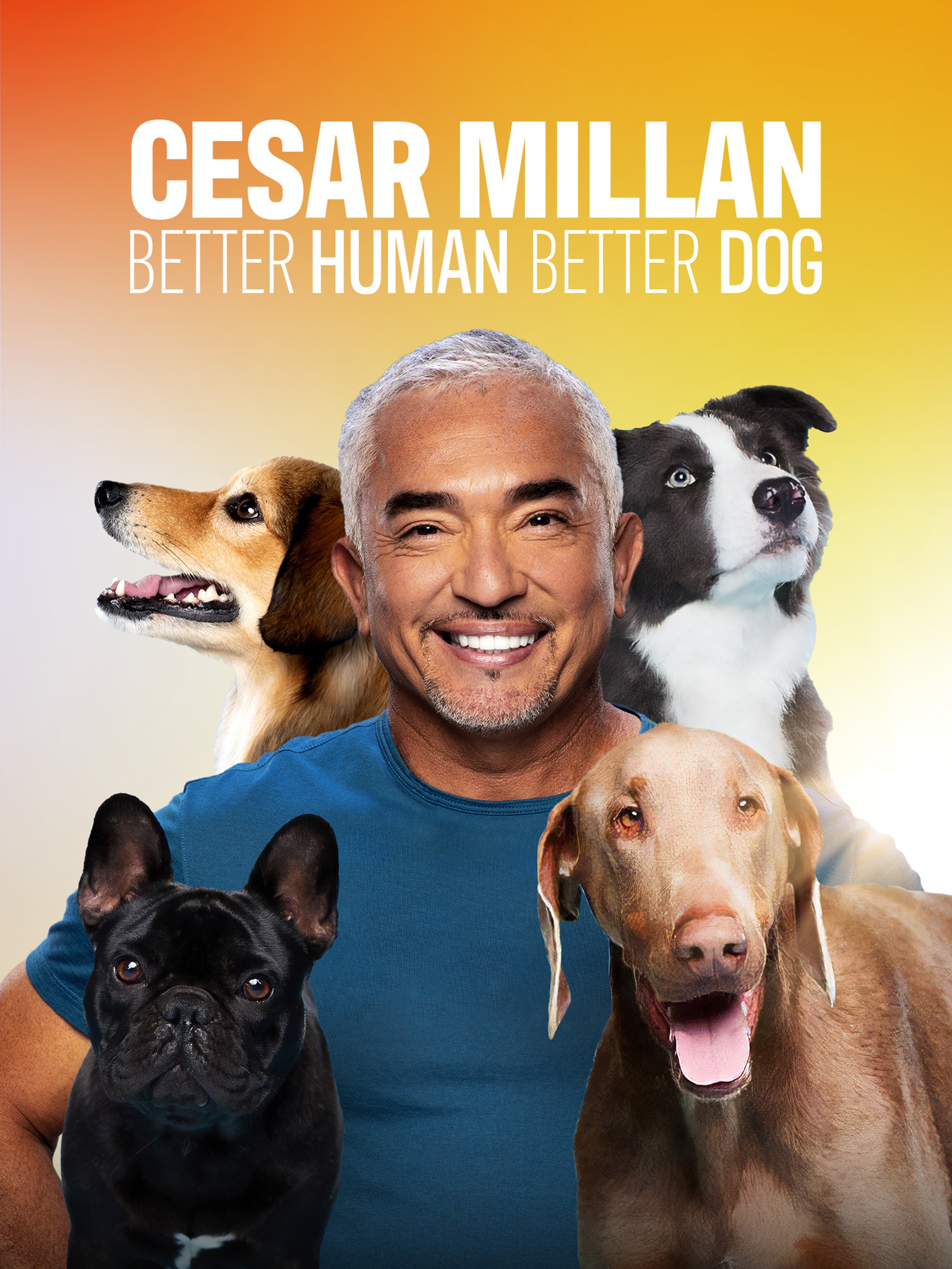 Cesar Millan: Better Human Better Dog: Season 4 | Rotten Tomatoes