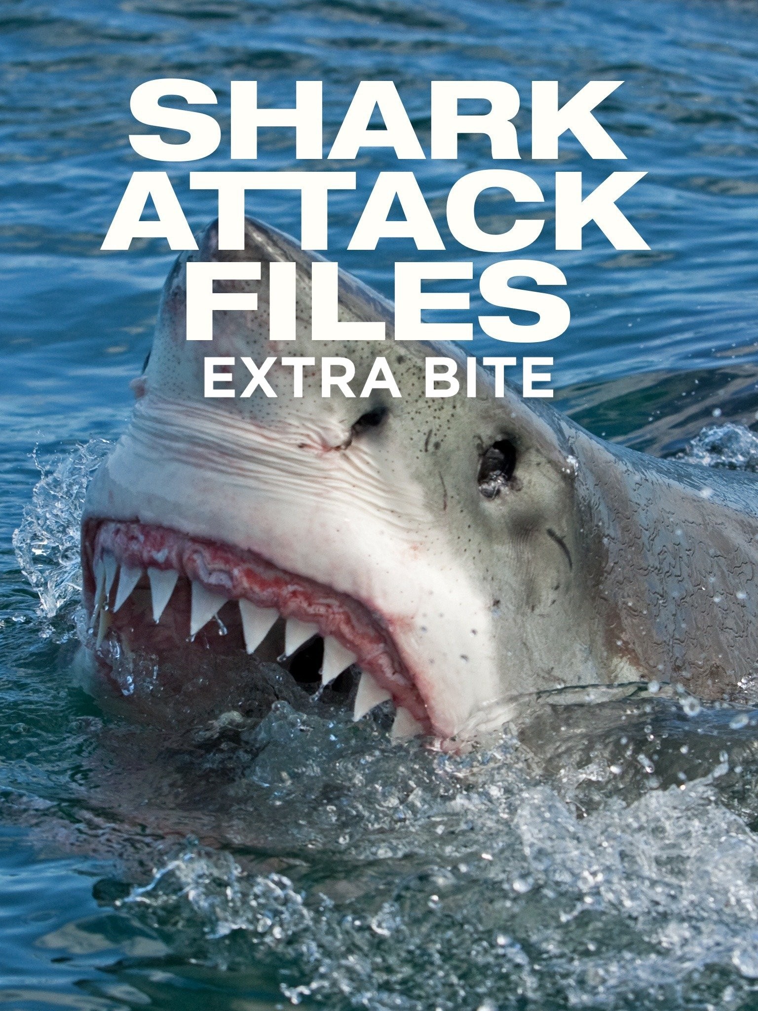 The Wildest Sharkbae Leak Yet - t6ca0kz