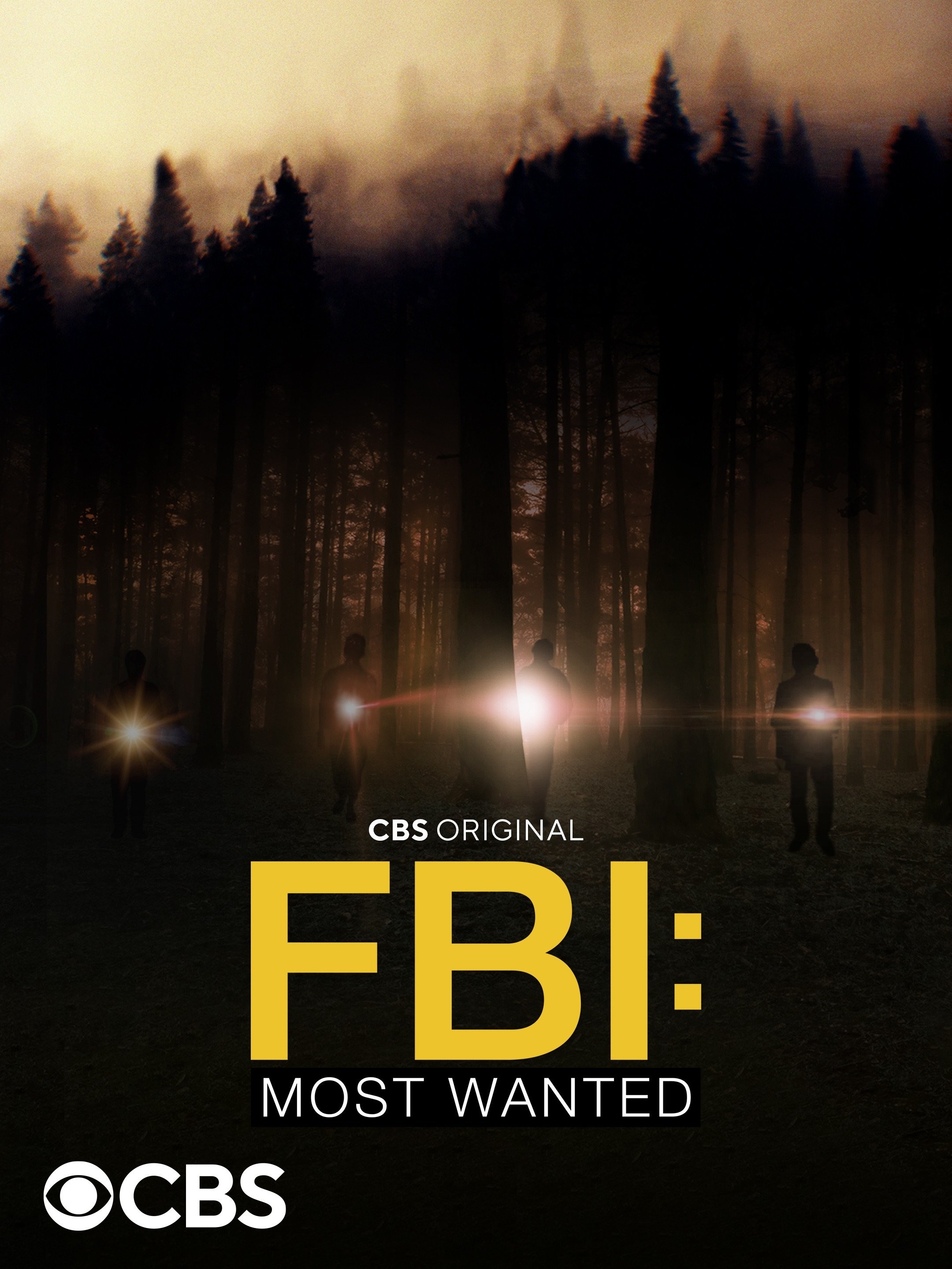 FBI cast  Full list of actors in Sky and NOW's crime drama