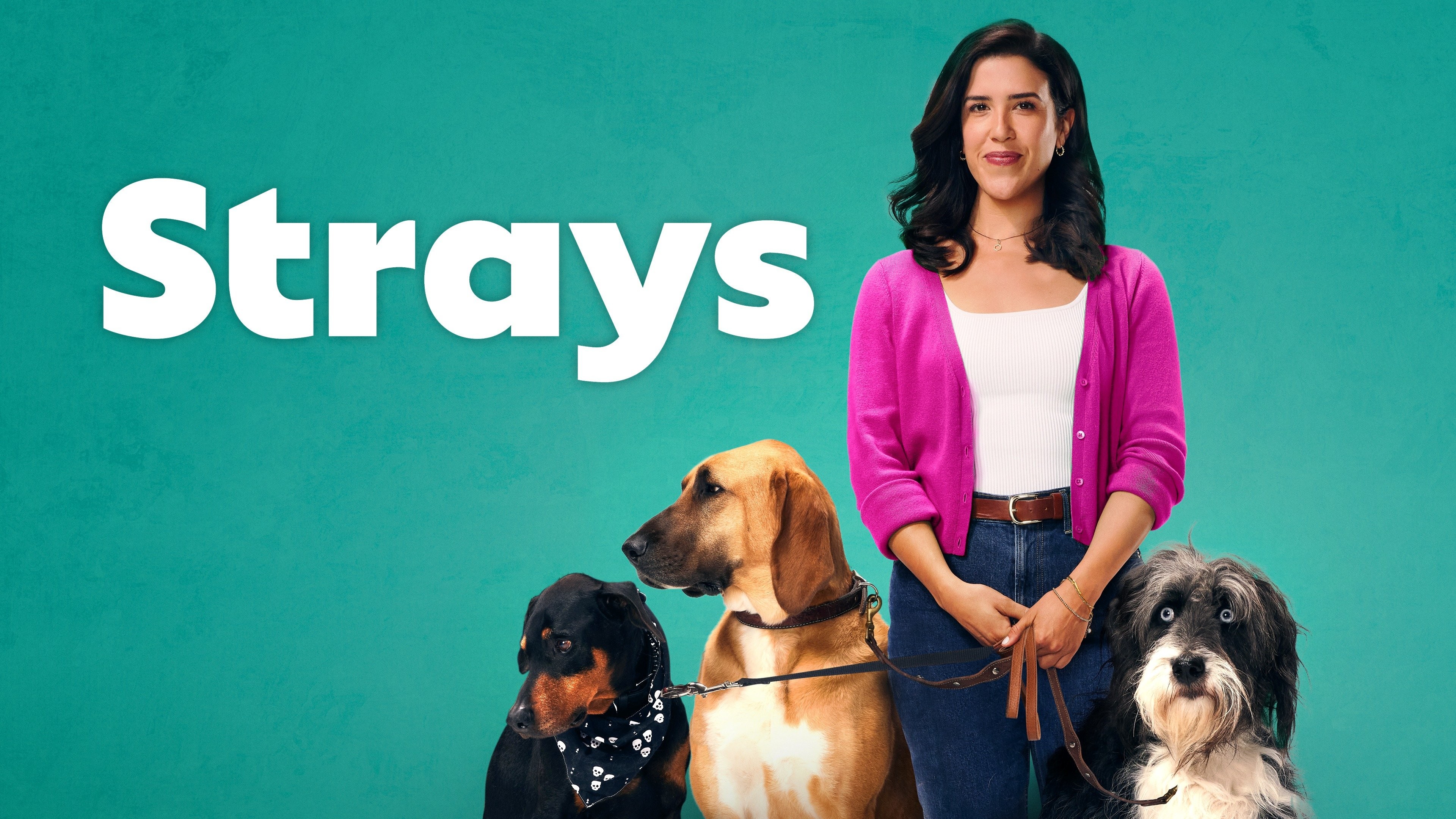 Strays: Release date, trailer, cast, plot, and more - Dexerto