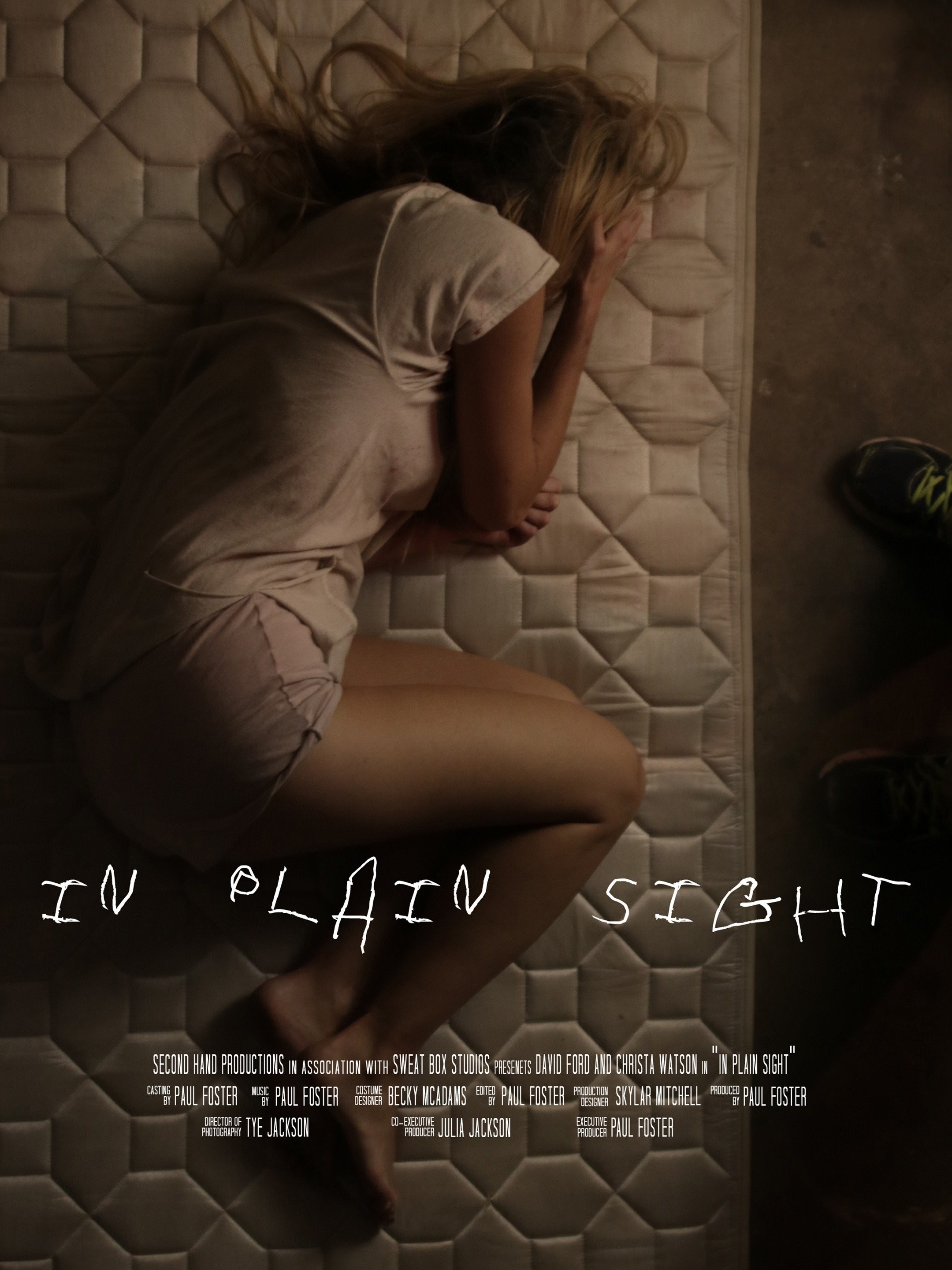 In Plain Sight Rotten Tomatoes