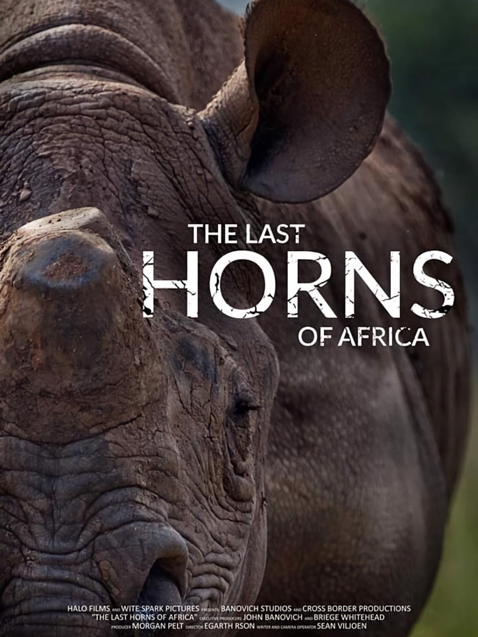 The Last Horns of Africa Pictures Rotten Tomatoes