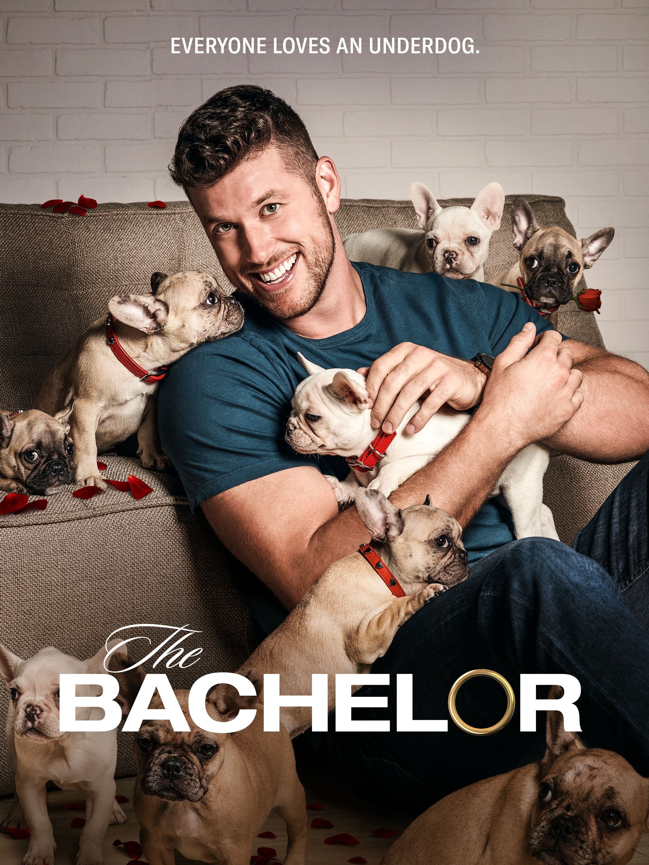 The Bachelor Season 26 Rotten Tomatoes