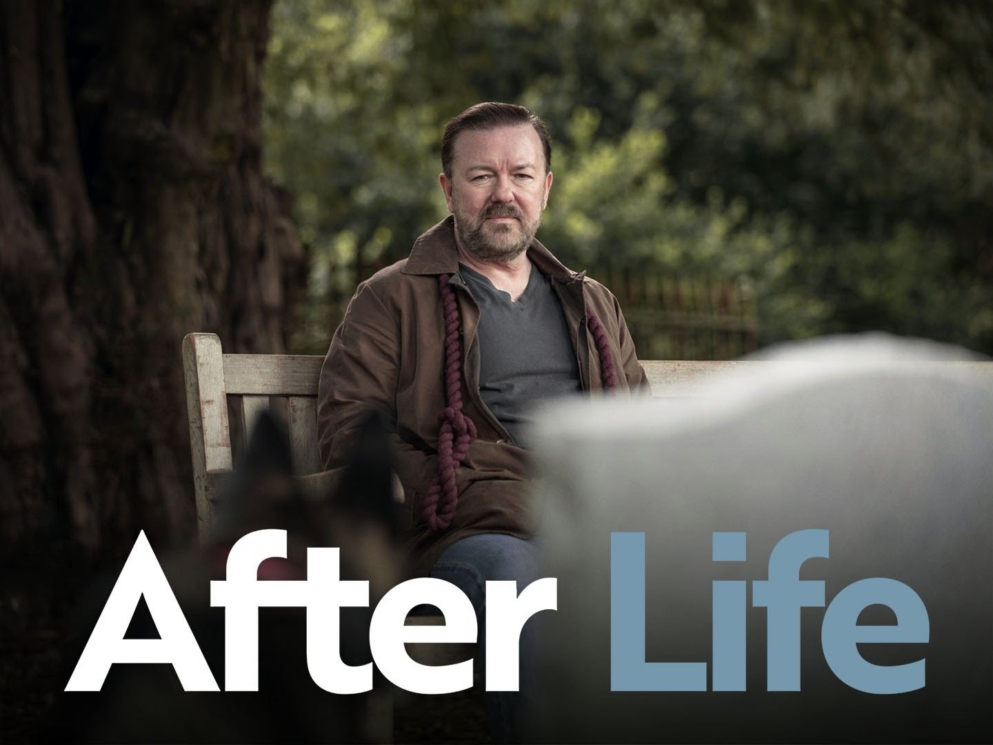 After Life - Rotten Tomatoes