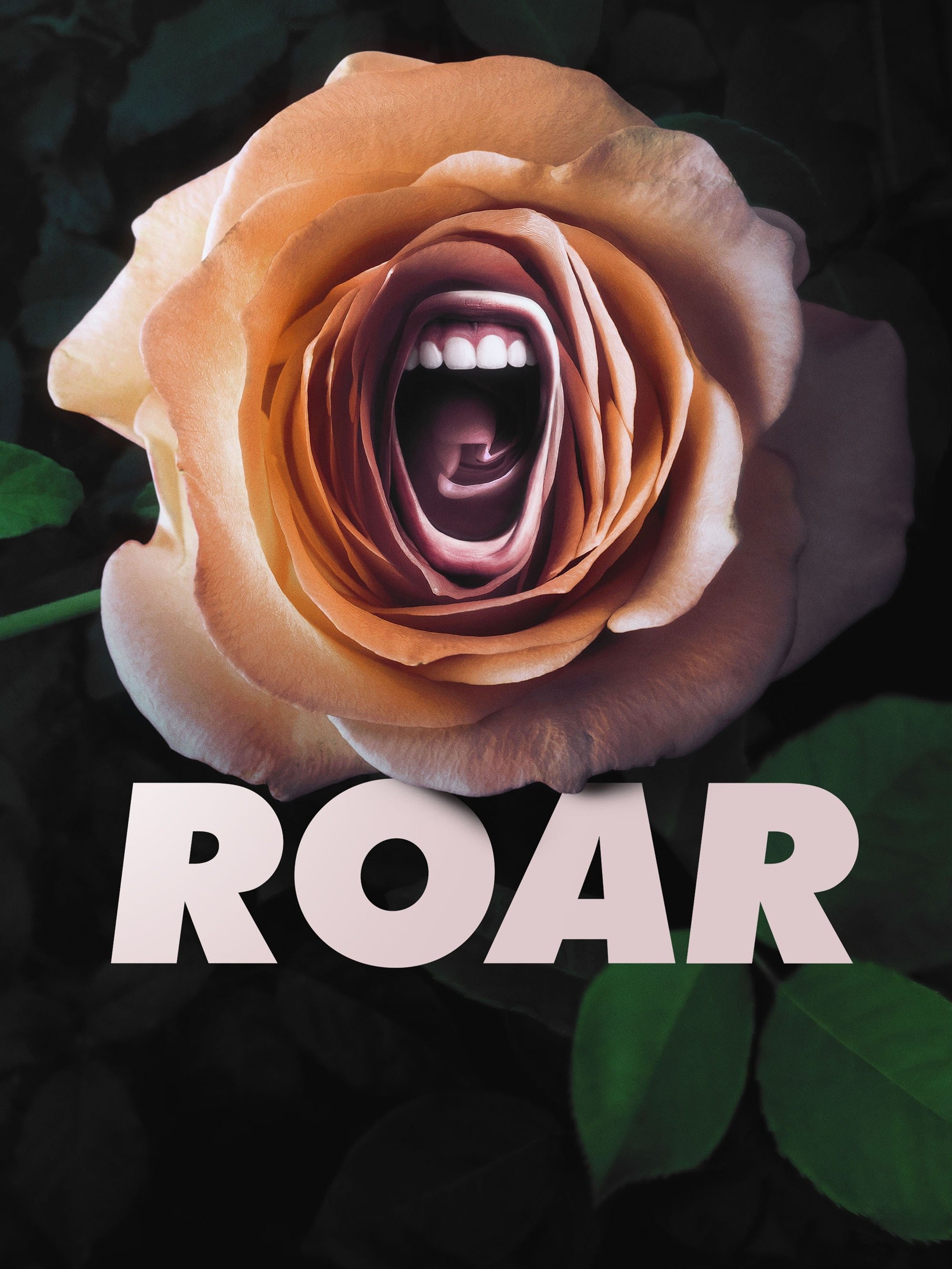 ROAR CLASSIC SERIES T-SHIRT – Watch Us Roar