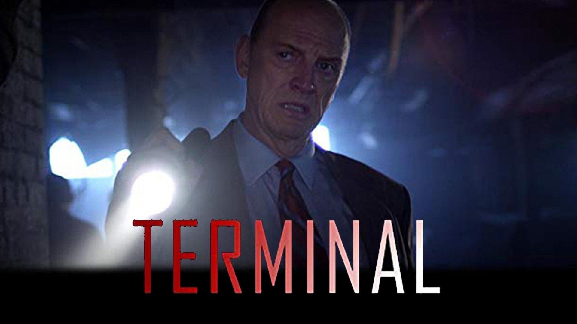 Movie The Terminal HD Wallpaper