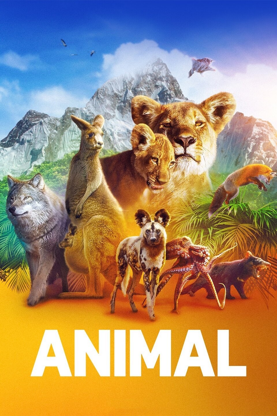 Animal: Season 2 Pictures | Rotten Tomatoes