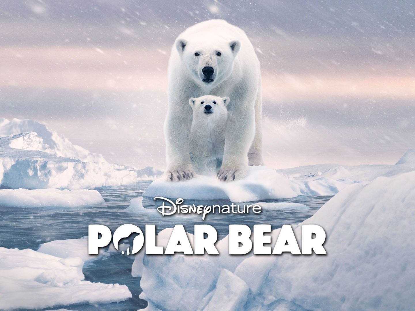 Polar Bear (2017) - IMDb
