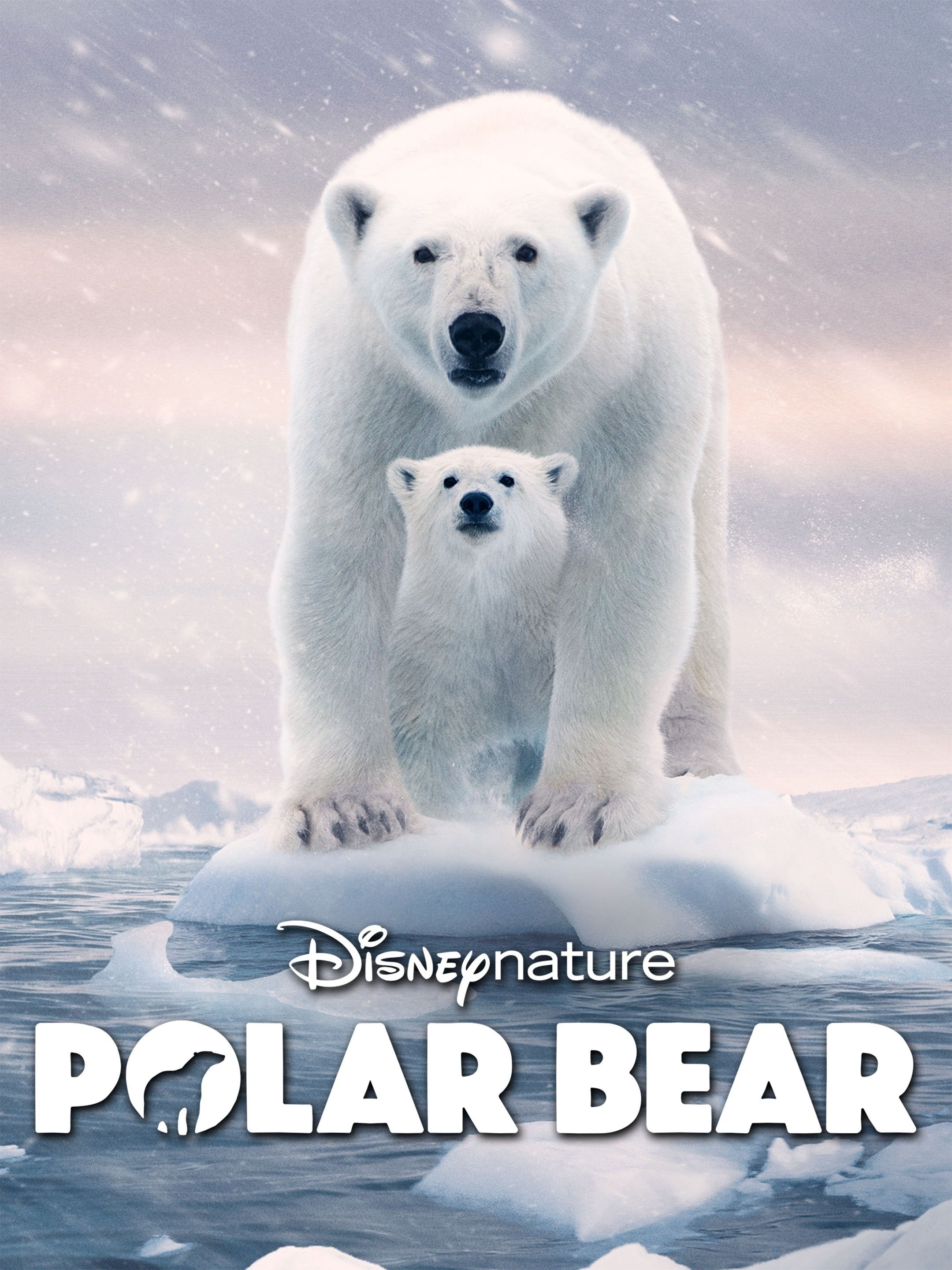 Polar Bear Movie Review