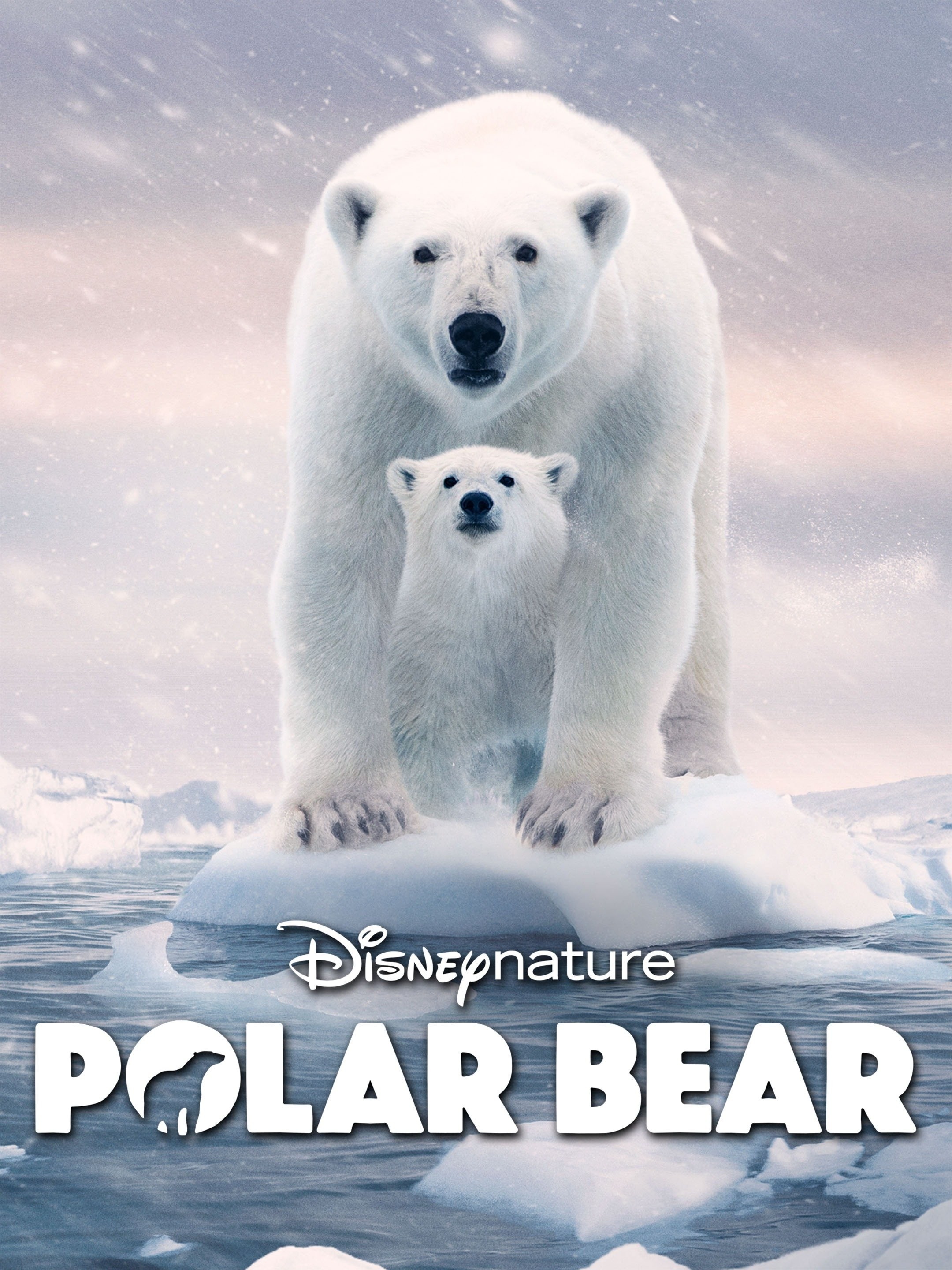 Polar Bear (2017) - IMDb