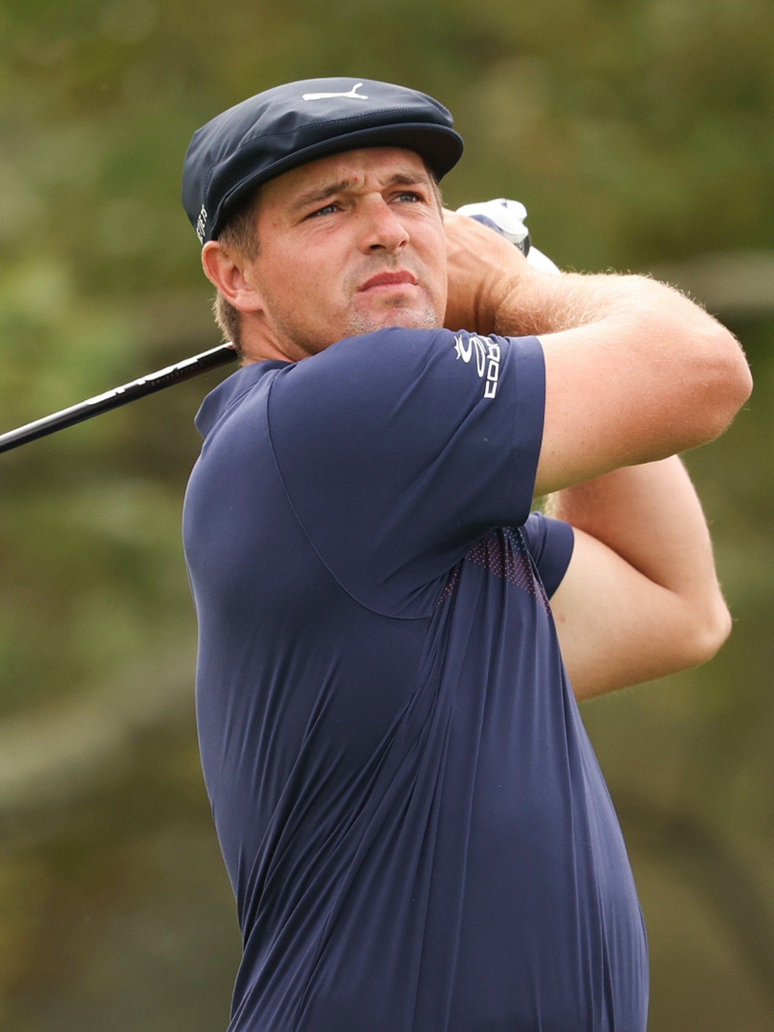 Bryson DeChambeau 2020 Every Televised Shot Pictures Rotten Tomatoes