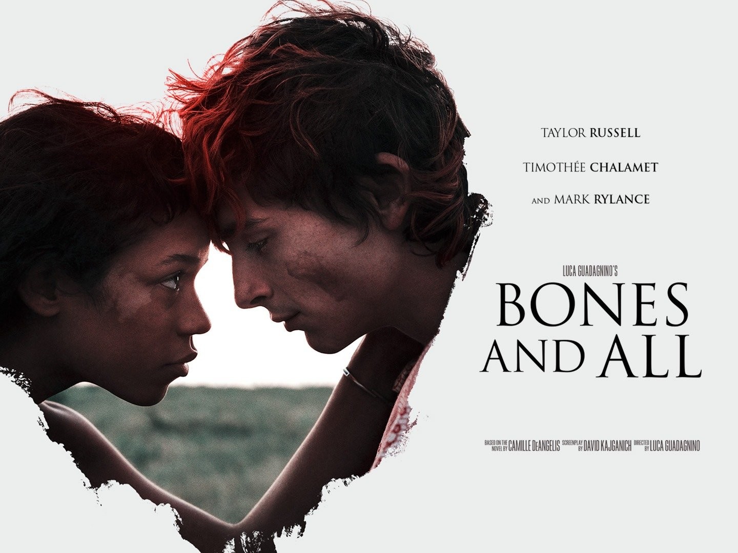 The bloody trailer for Timothée Chalamet's cannibal romance Bones