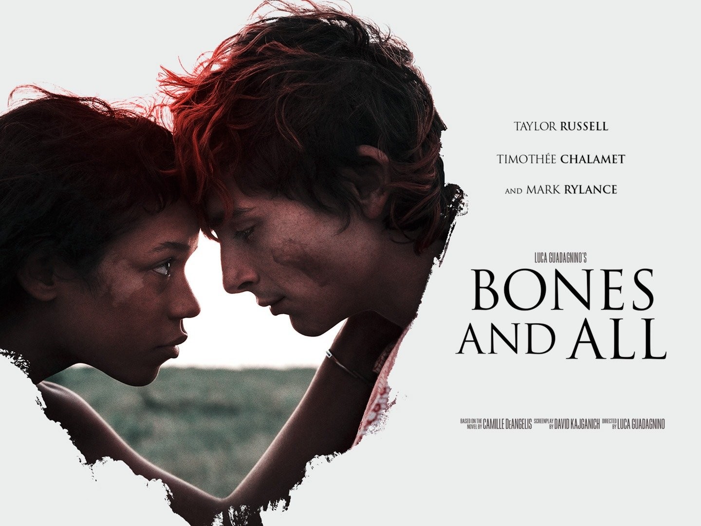 Bones and All First Look: Luca Guadagnino, Timothée Chalamet