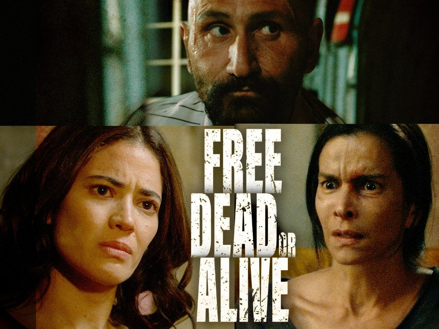 Dead or Alive - Movie - Where To Watch