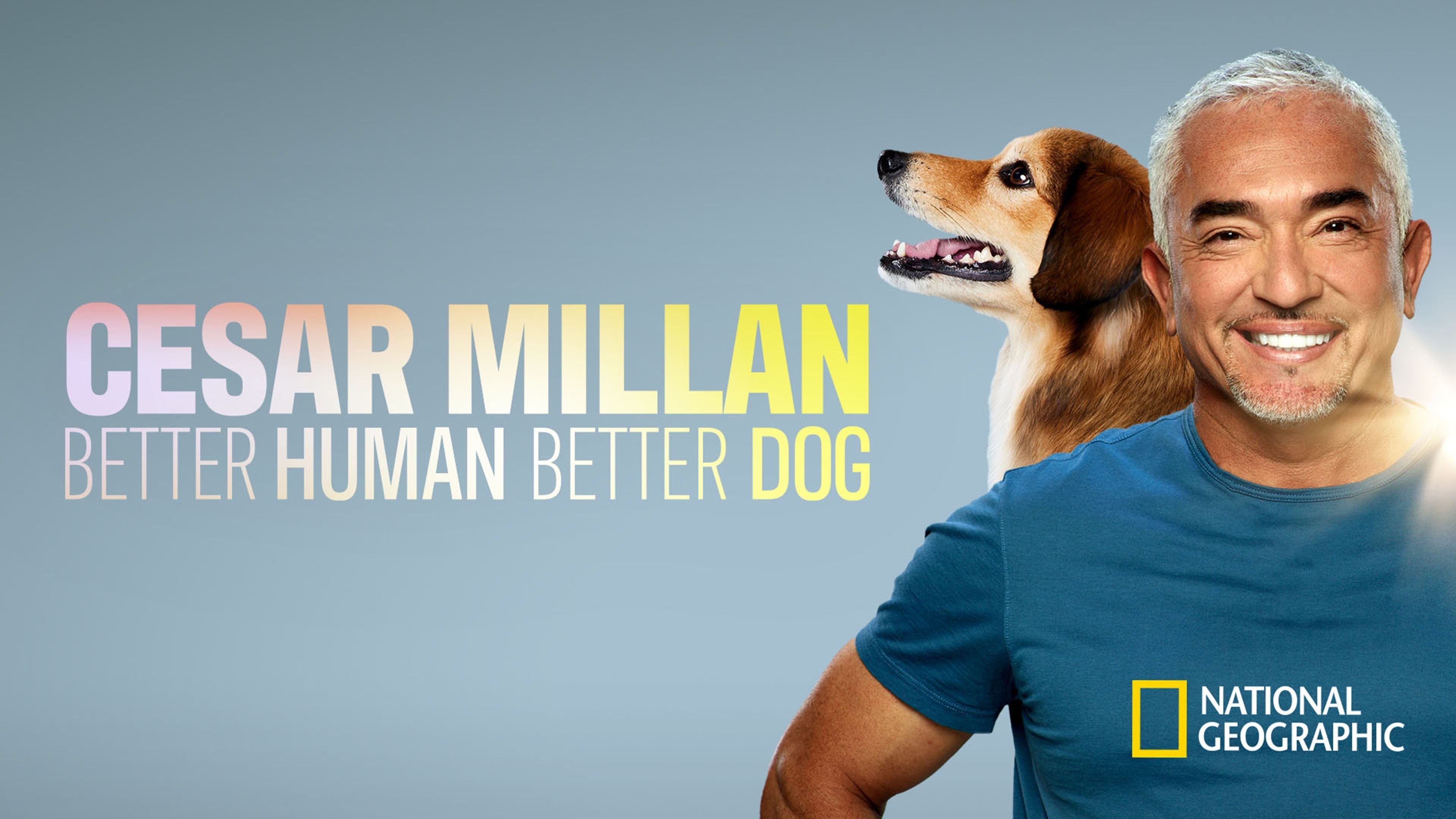 Cesar Millan: Better Human Better Dog - Rotten Tomatoes