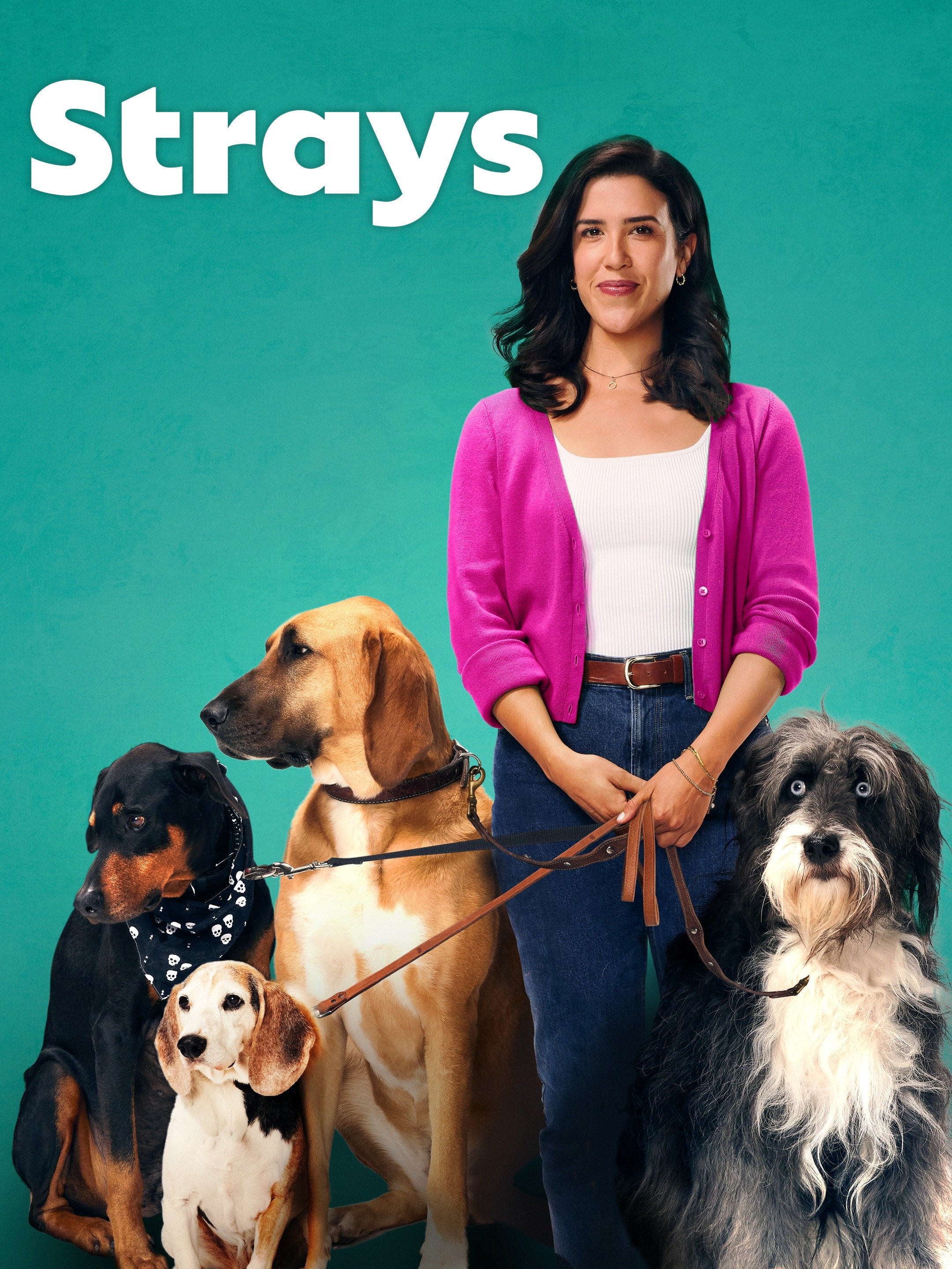 Strays Season 2 | Rotten Tomatoes