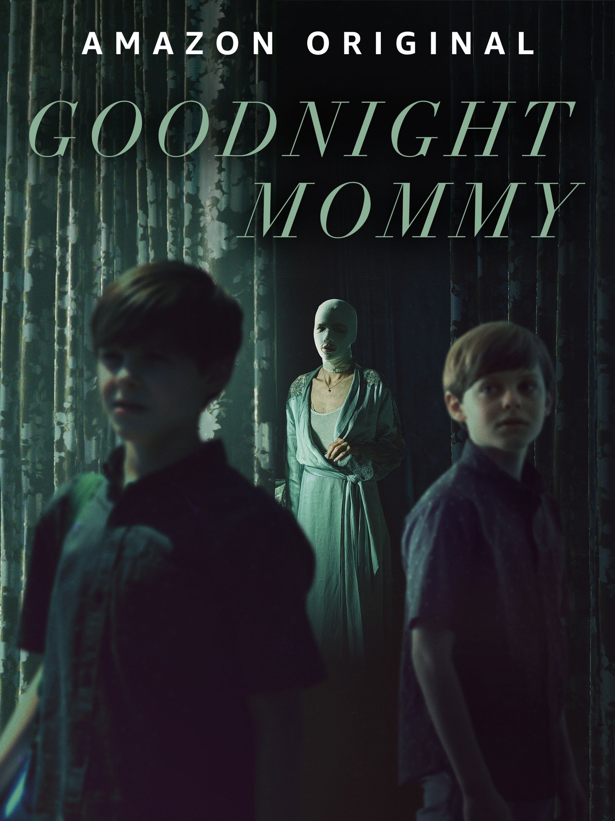 Goodnight Mommy 2 – will there be a sequel to Goodnight Mommy?