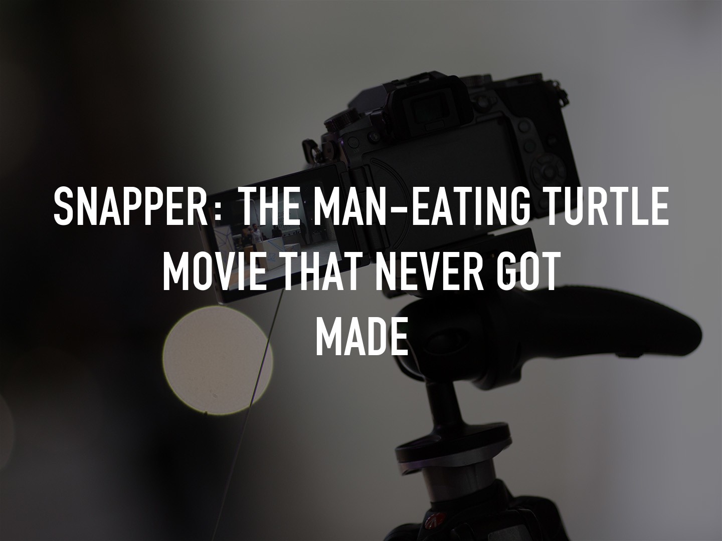 Snapper: The Man-Eating Turtle Movie That Never Got Made (Short