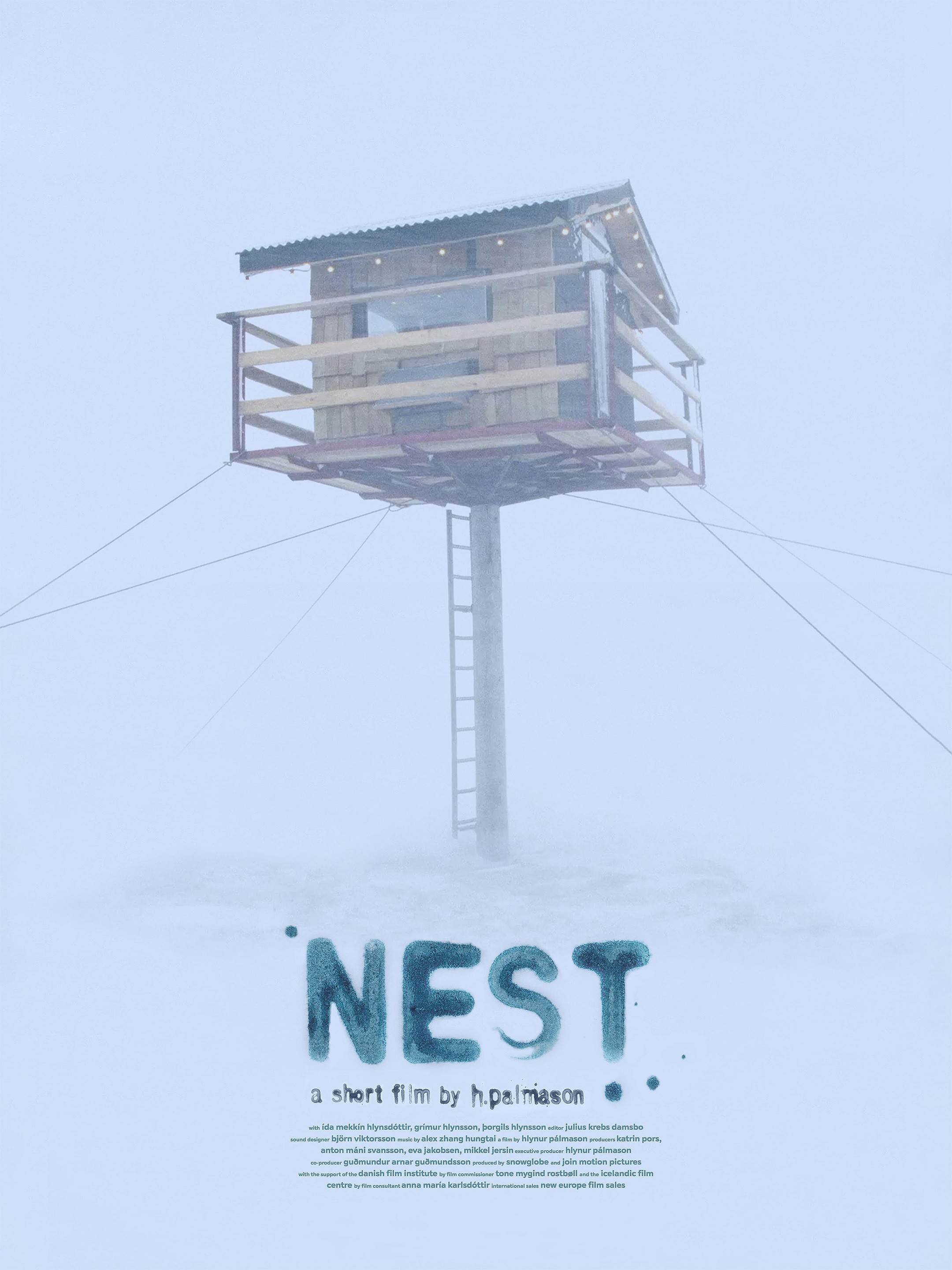 Nest Rotten Tomatoes   P22741436 P V13 Aa 