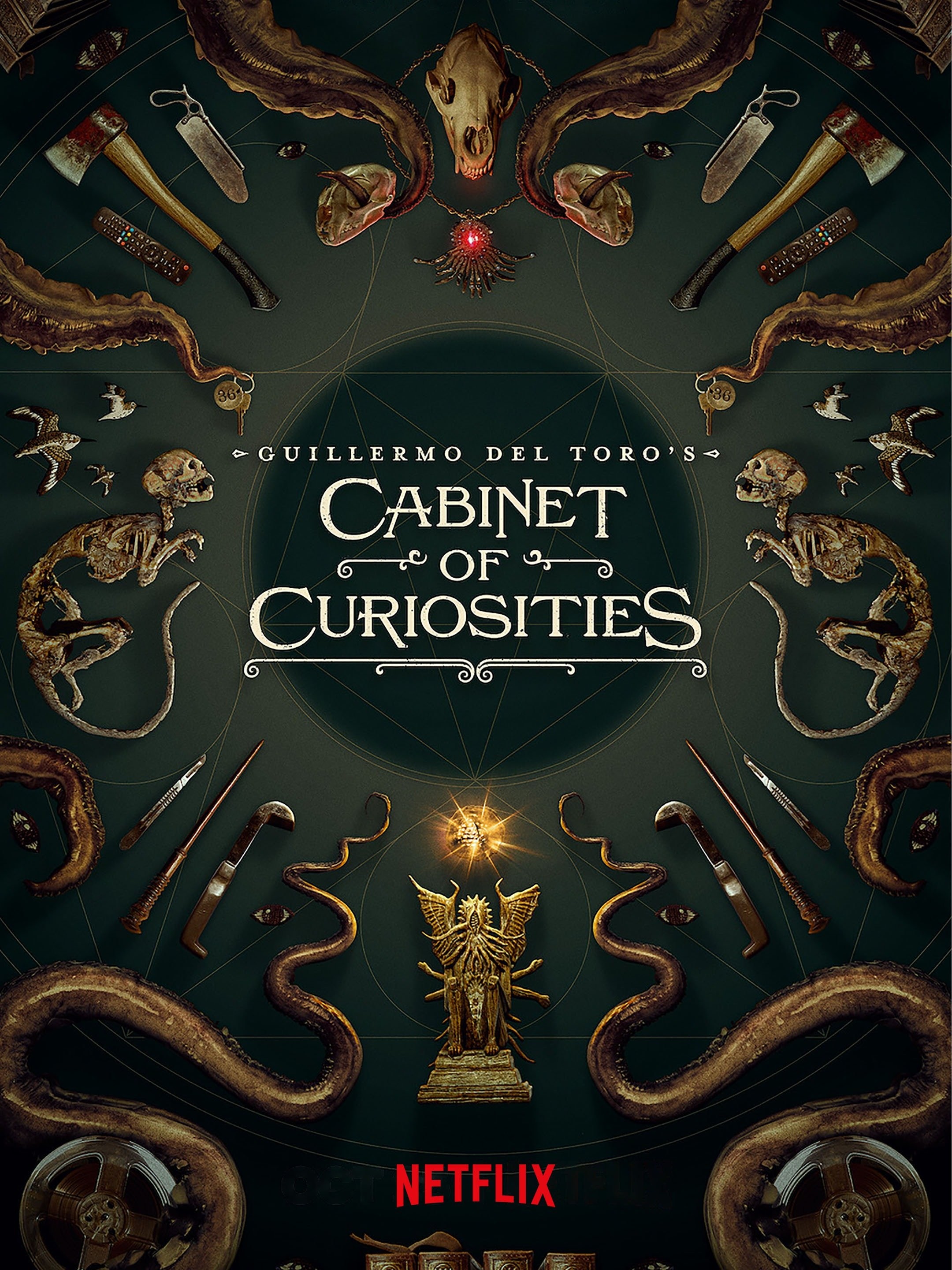 NTWRK - Le Cabinet de Curiosites