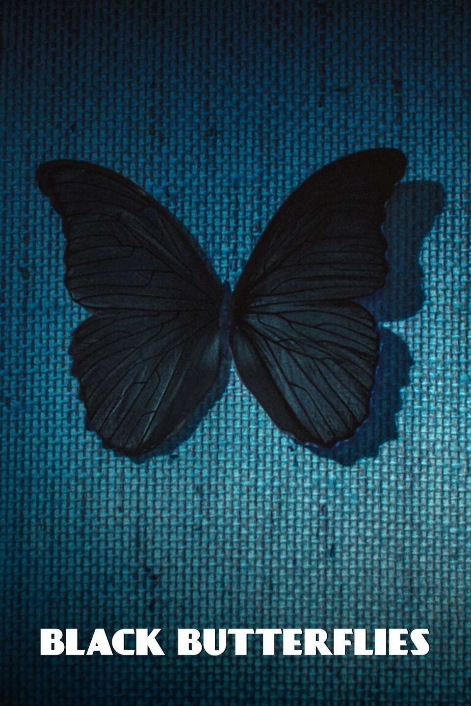 Black Butterflies Pictures 