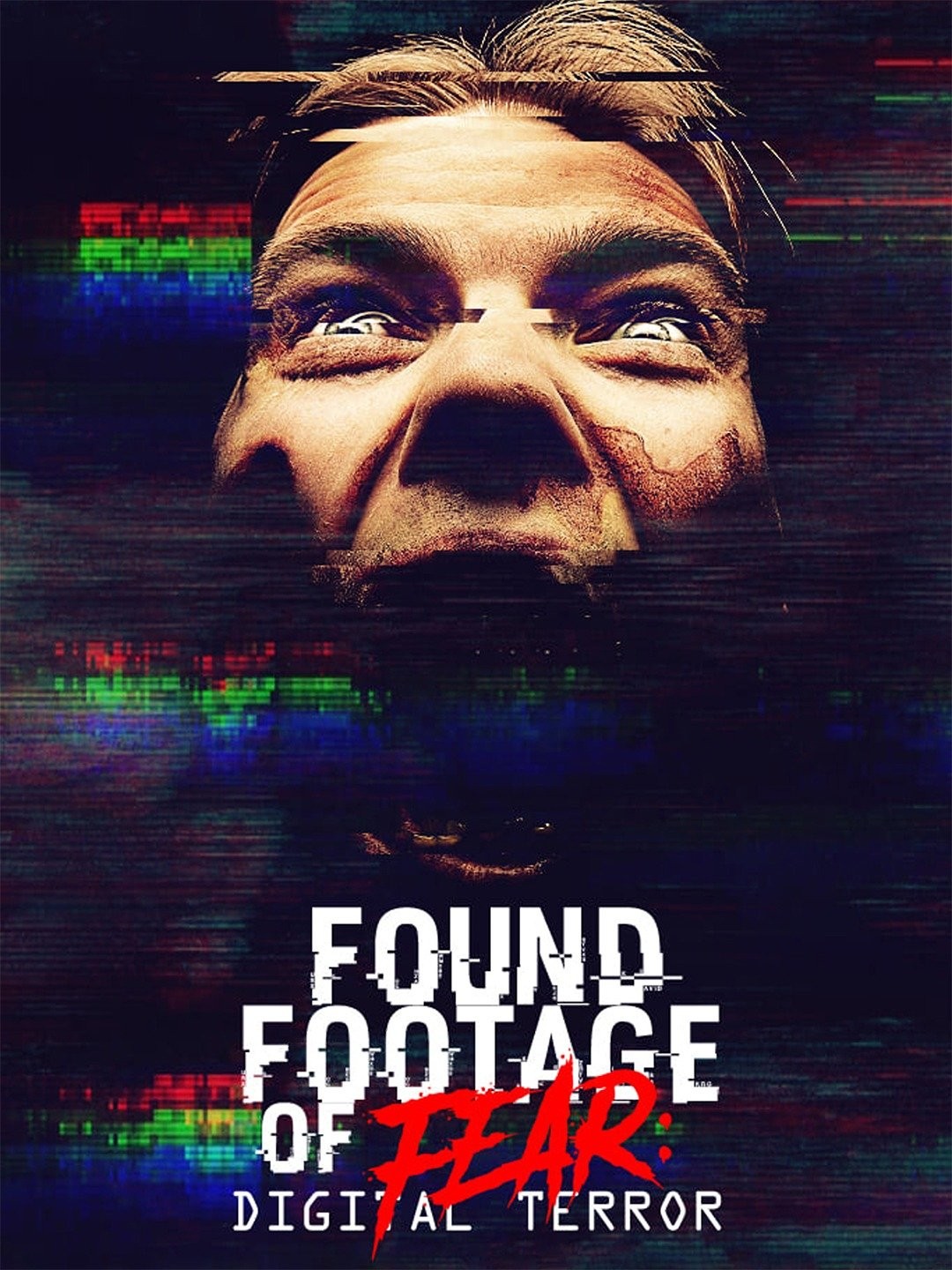PDF) O found footage de horror (2a edição ampliada)