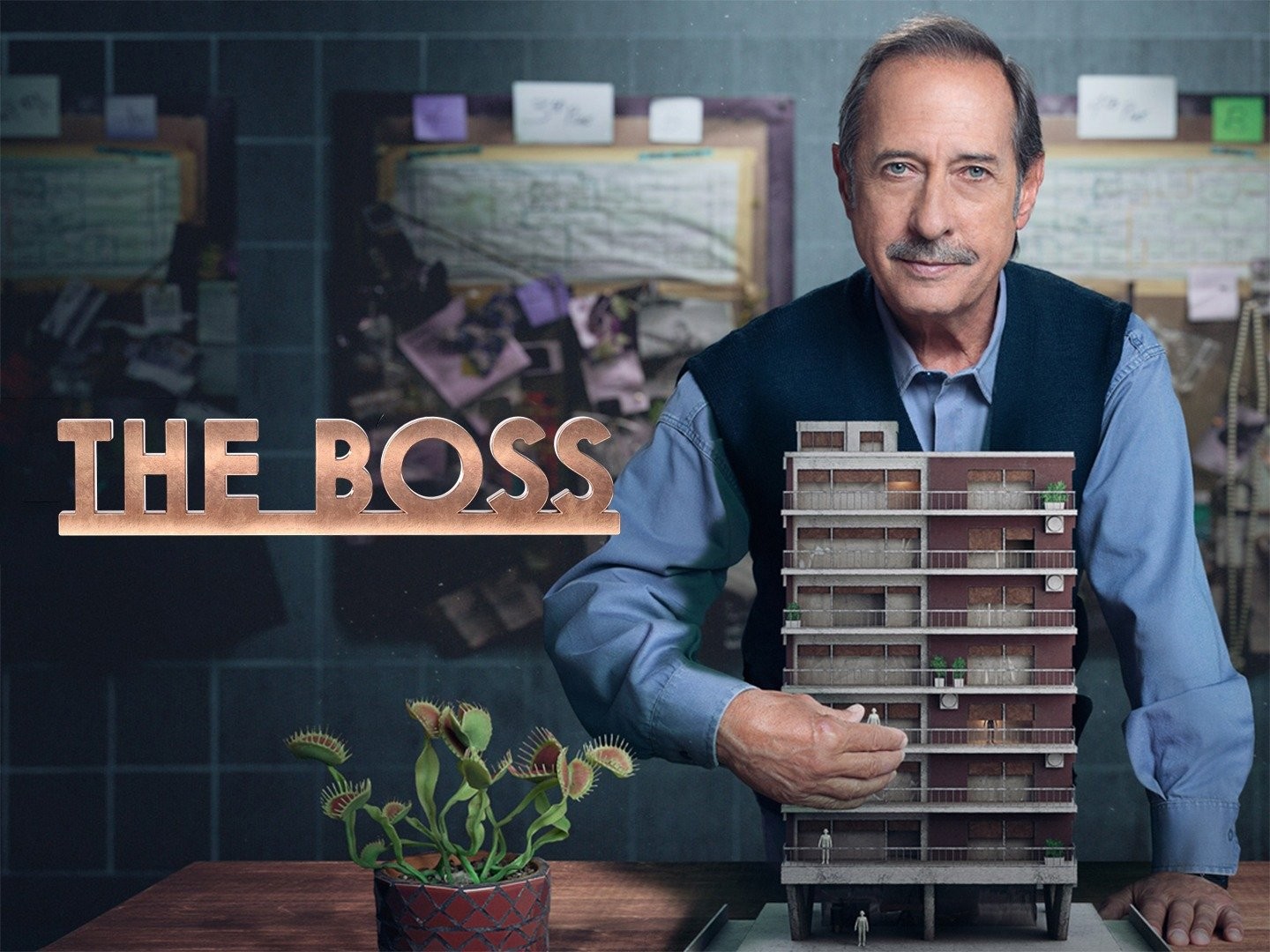 Who's the Boss? TV Review