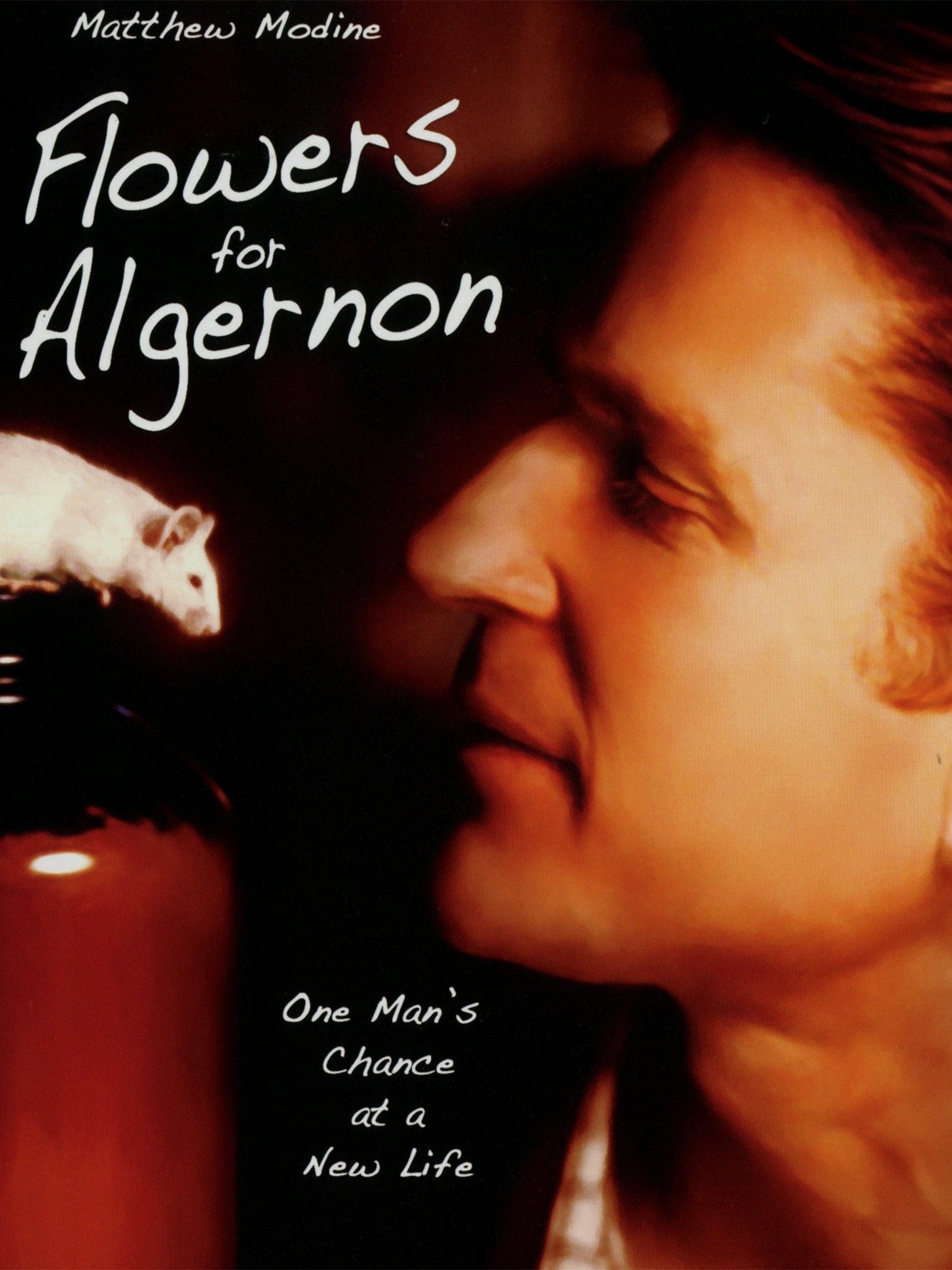 24 agosto 1999 - K17803CM.FIORI PER ALGERNON.TV-FILM STILL.fornito