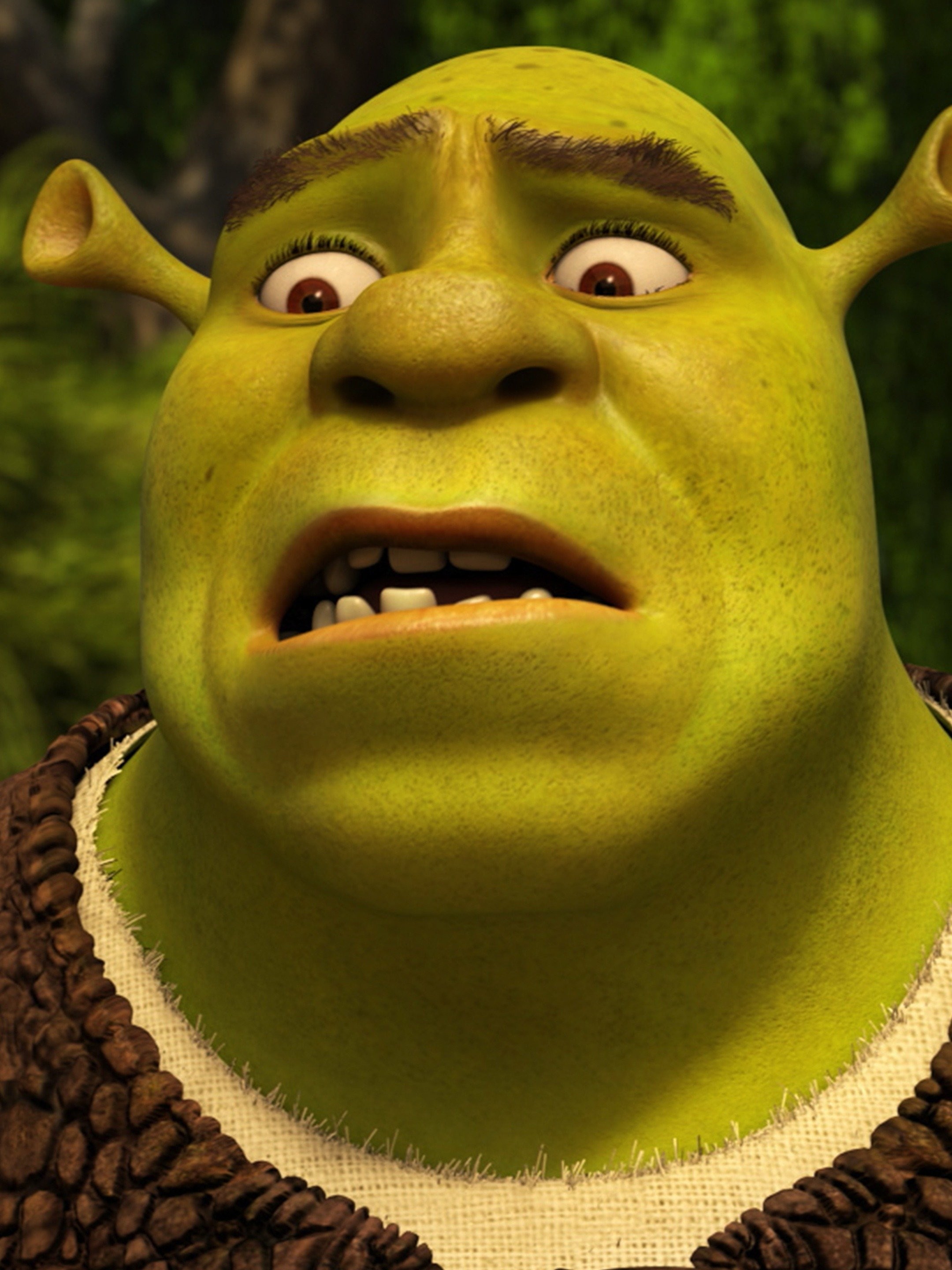 cara do shrek meme