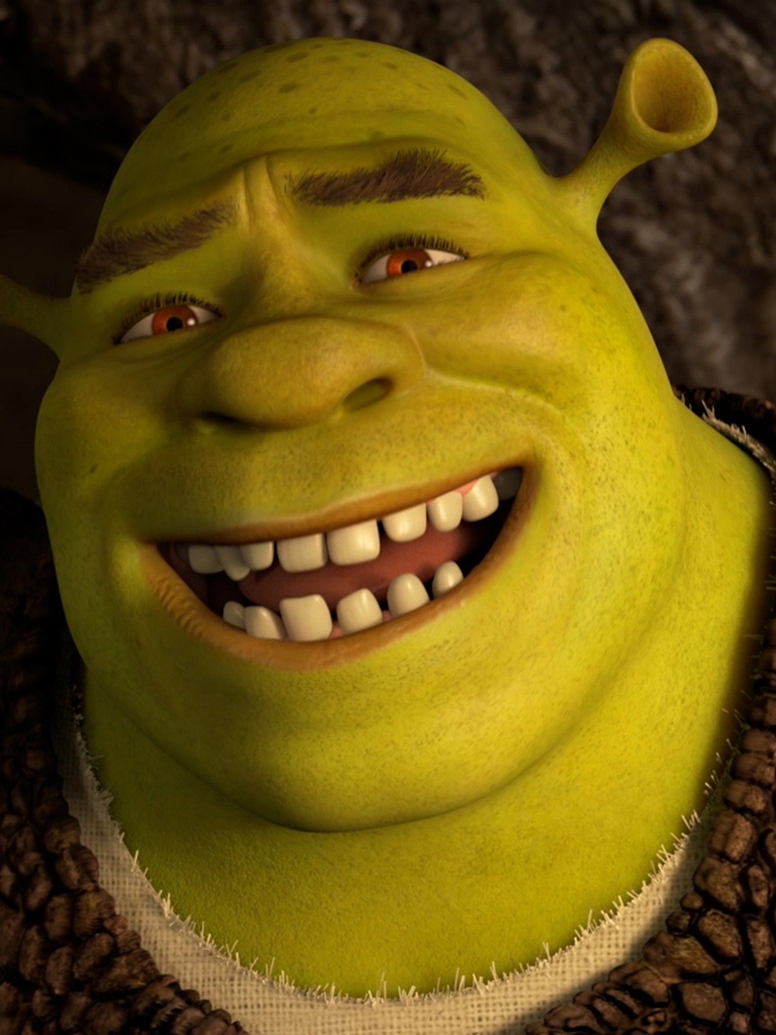 Is This Shrek or A Flower? Pictures - Rotten Tomatoes