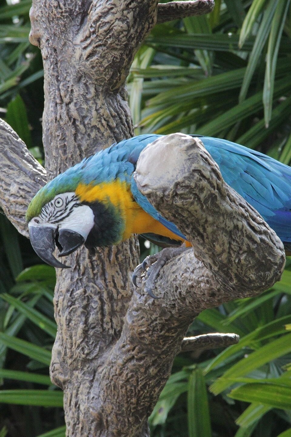 Crash Landing Pictures Rotten Tomatoes