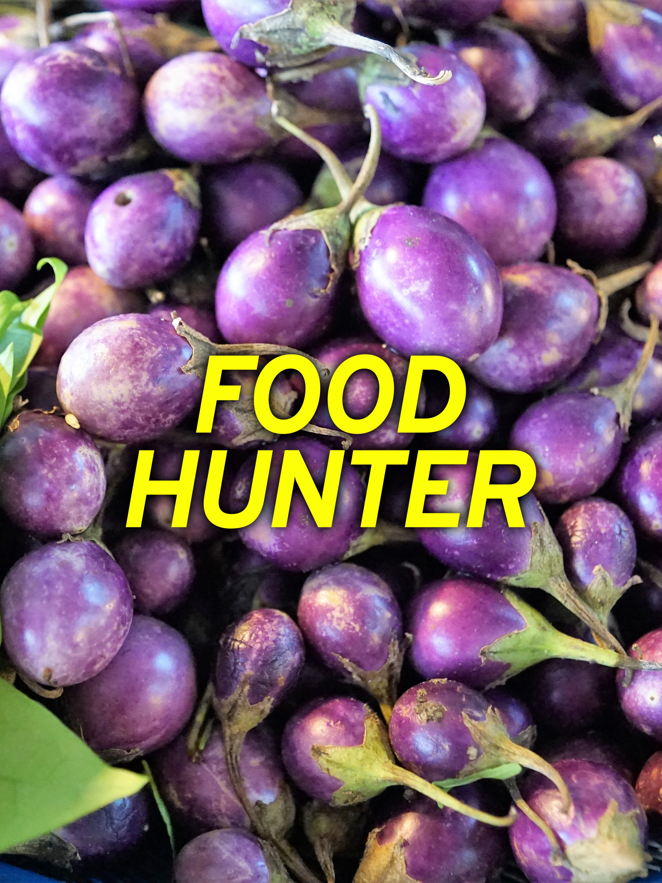 Food Hunter Pictures Rotten Tomatoes