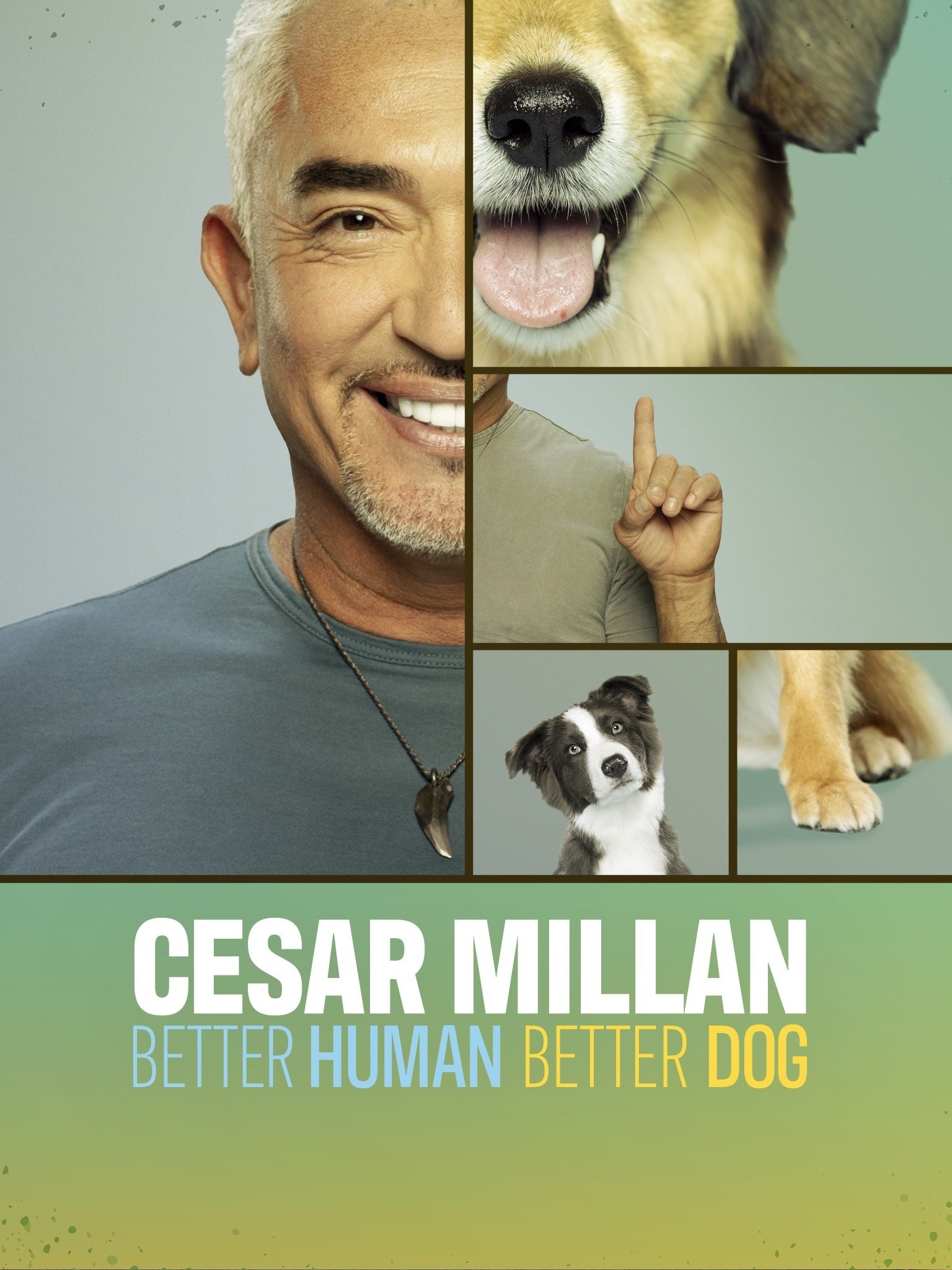 Cesar Millan: Better Human Better Dog - Rotten Tomatoes