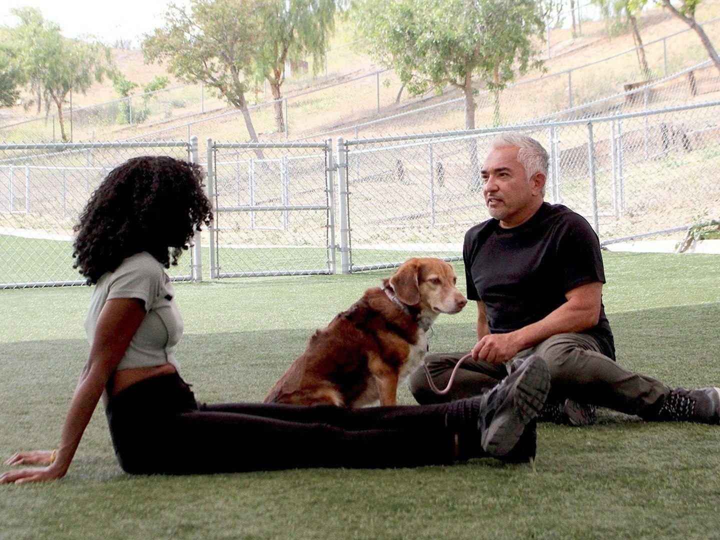 Cesar Millan: Better Human Better Dog - Rotten Tomatoes