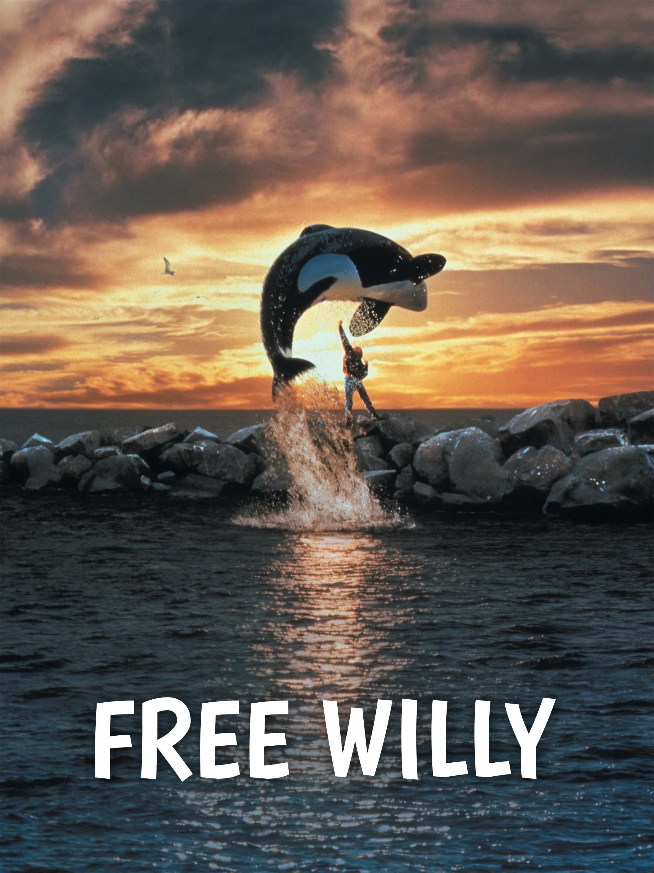 free willy essay